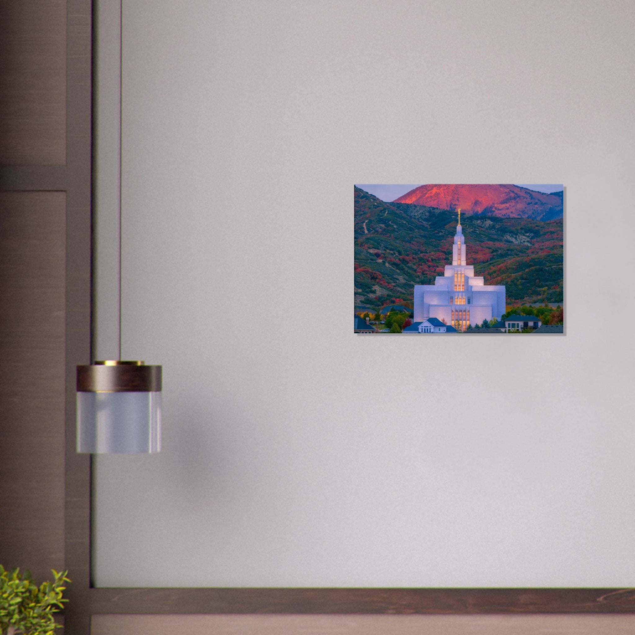 0087bbcd-529f-4e4e-8996-a3a98a8b7759