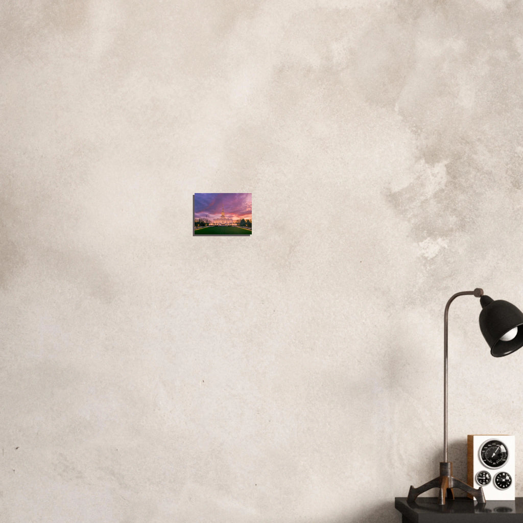 06f8c023-ed2f-4b70-996f-01df1cce9fea