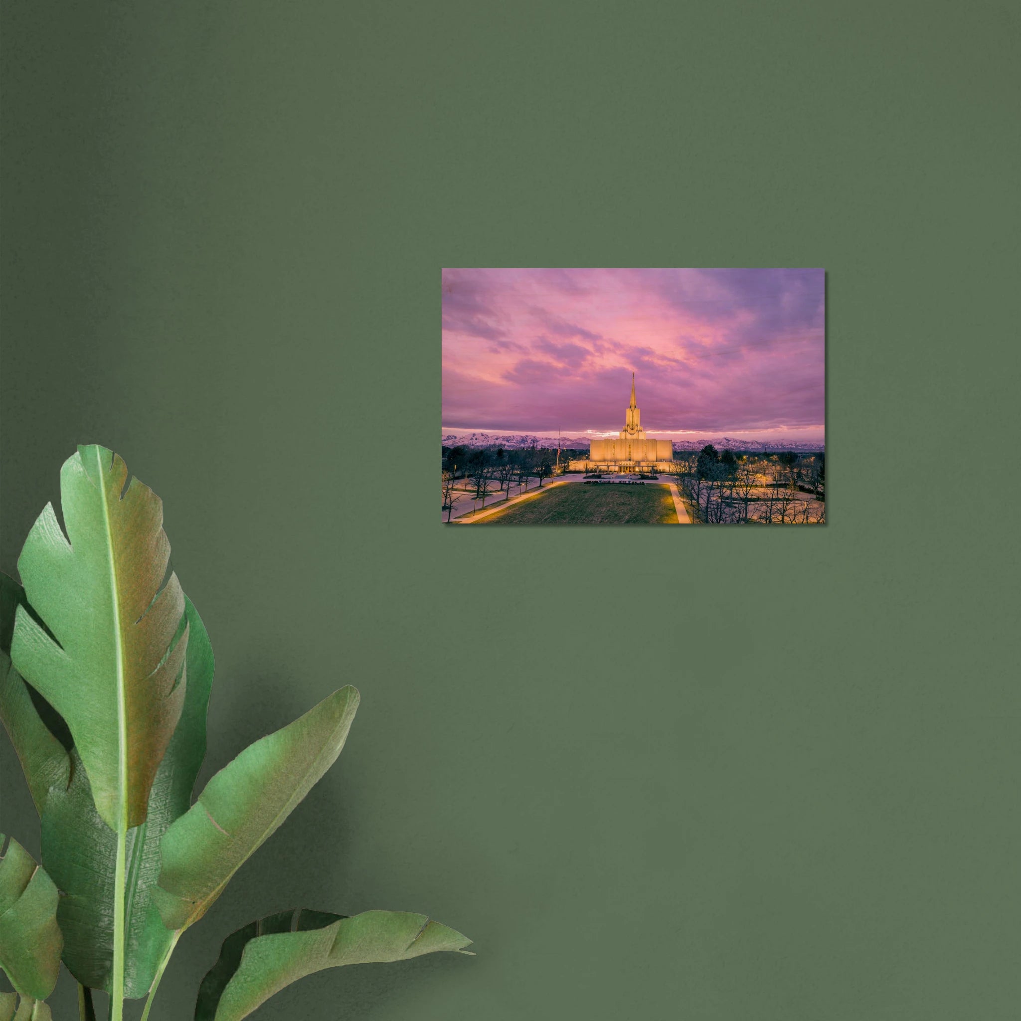 09feedfc-713a-4cb9-b603-aeeffee241a6