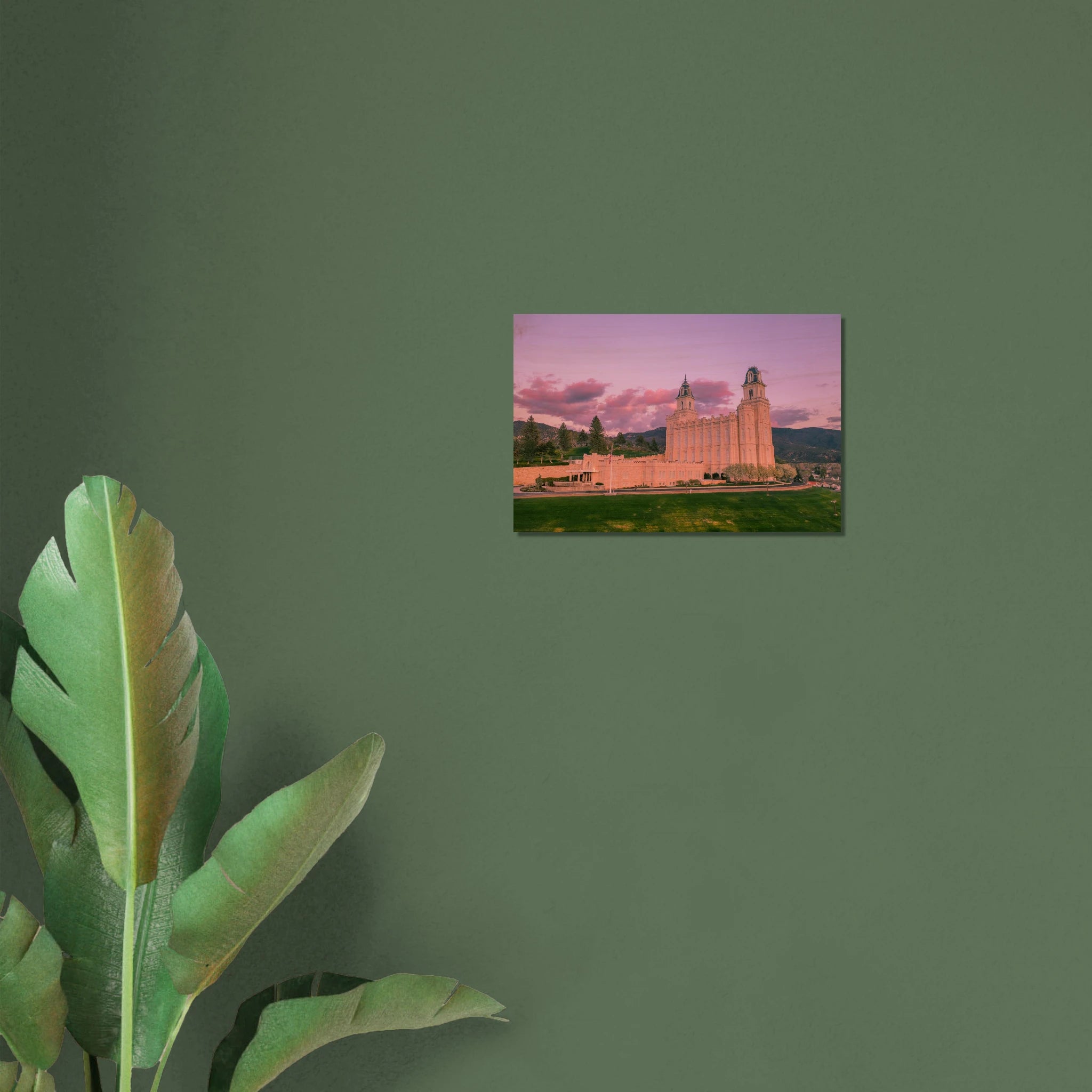 0e0a0a9e-0c43-4511-a07c-b7296dbe1663