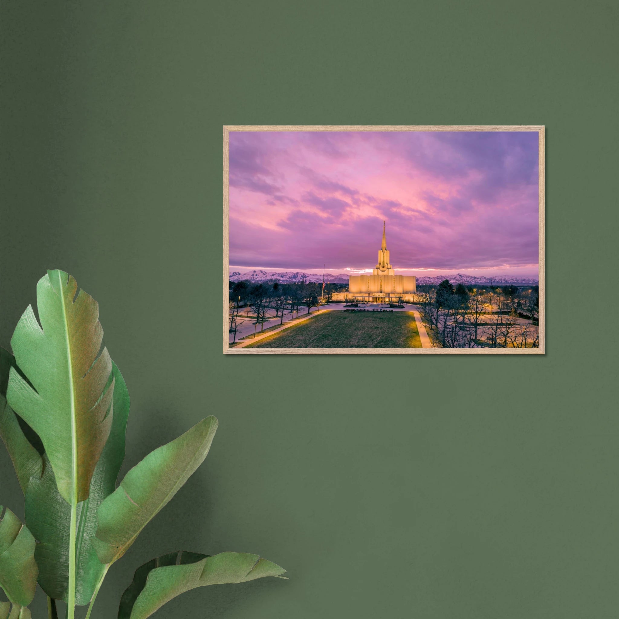 10887b55-ea06-41f5-b30b-0530544e2e38