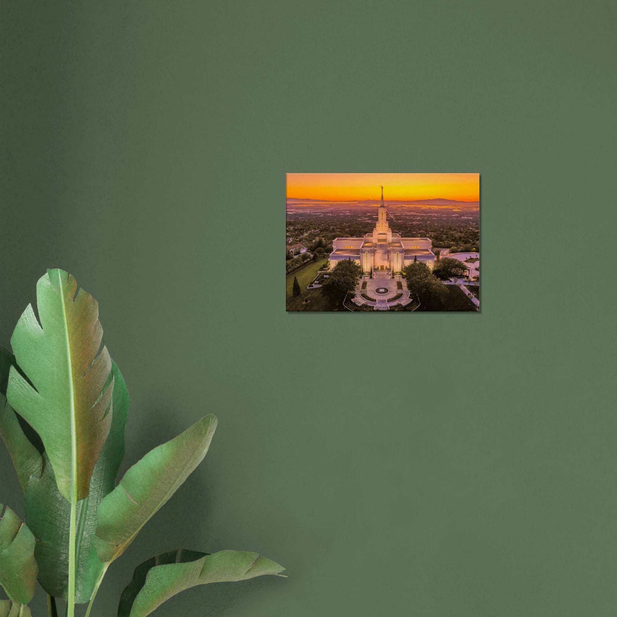 11f38b9f-2e86-4065-9023-5c183776cade