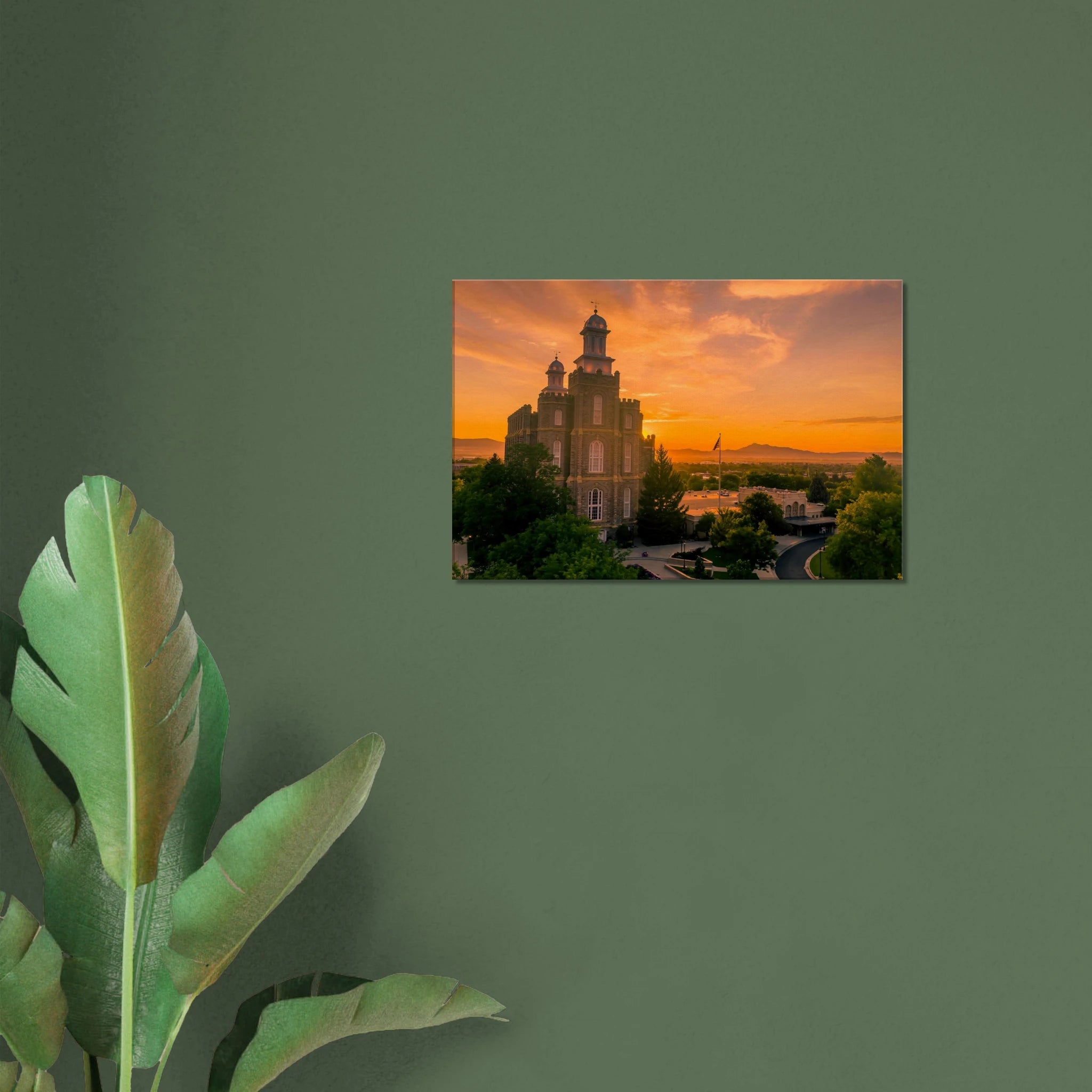 16a728c2-ee72-4fda-9e39-f18ddb525f87