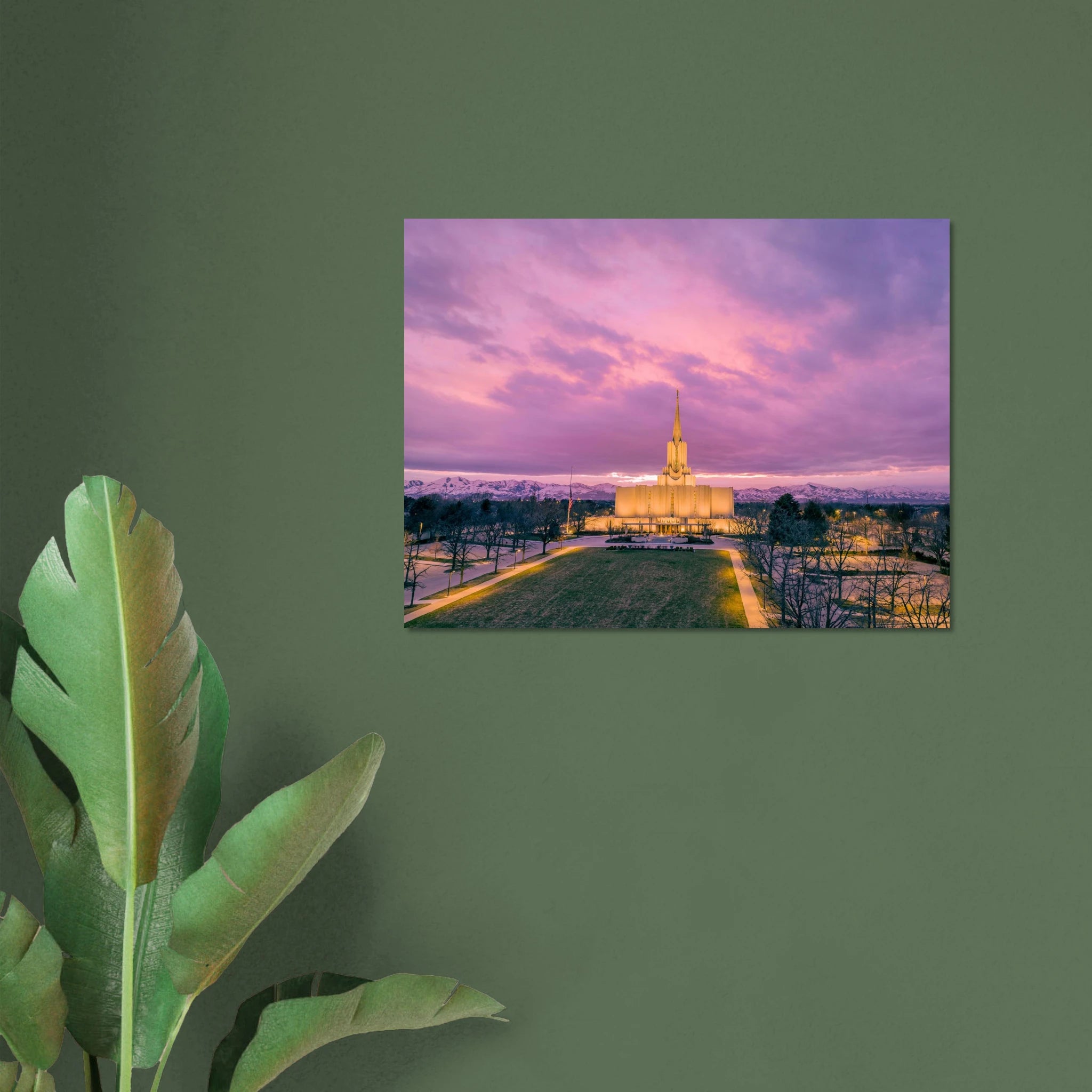 19d801b4-4bba-4cd2-b145-04421eb42ed5