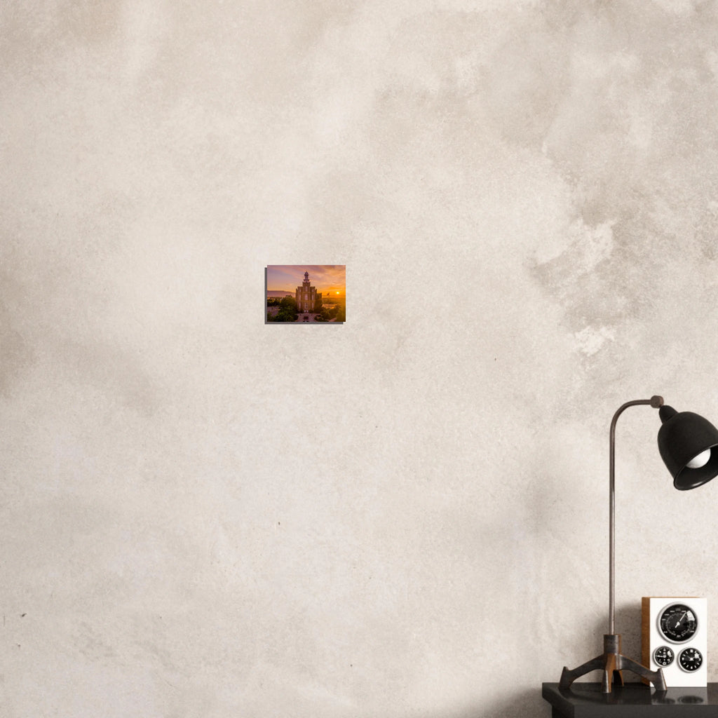 1a05e8ca-8732-4892-9f13-fda8873aaa43