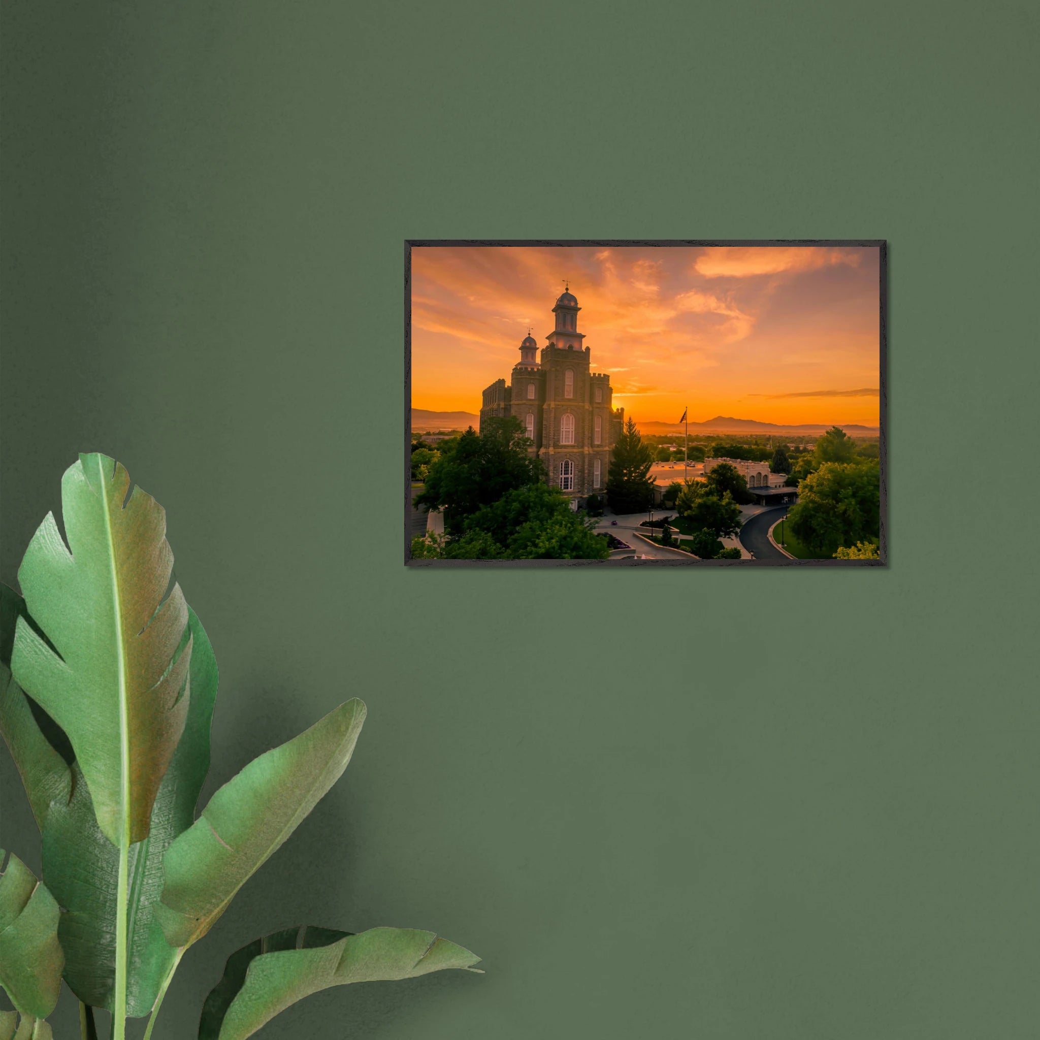 1c50ec09-75b7-4871-85e0-232ae595d3b9