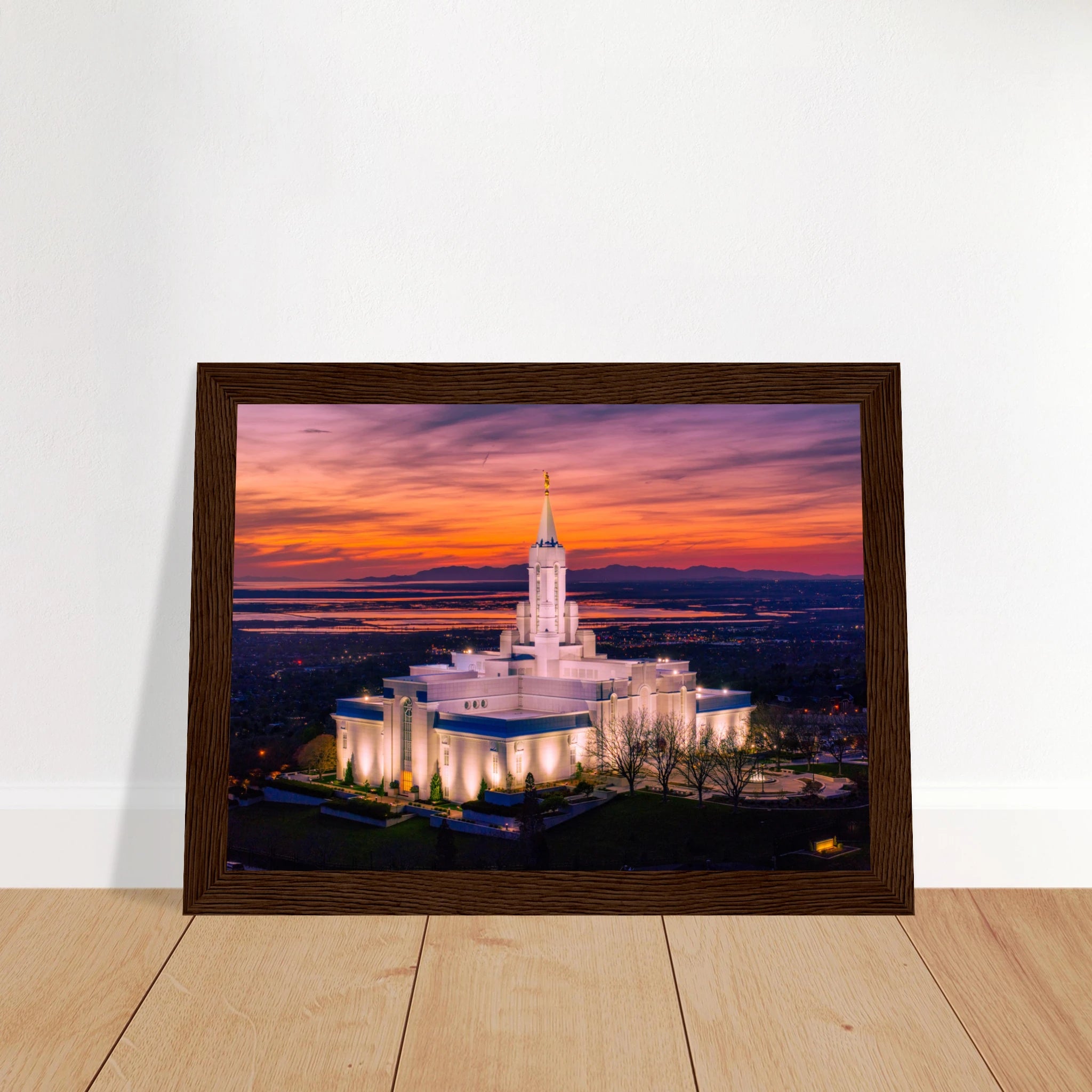 1f95d572-6160-4775-b707-4be5170c0849