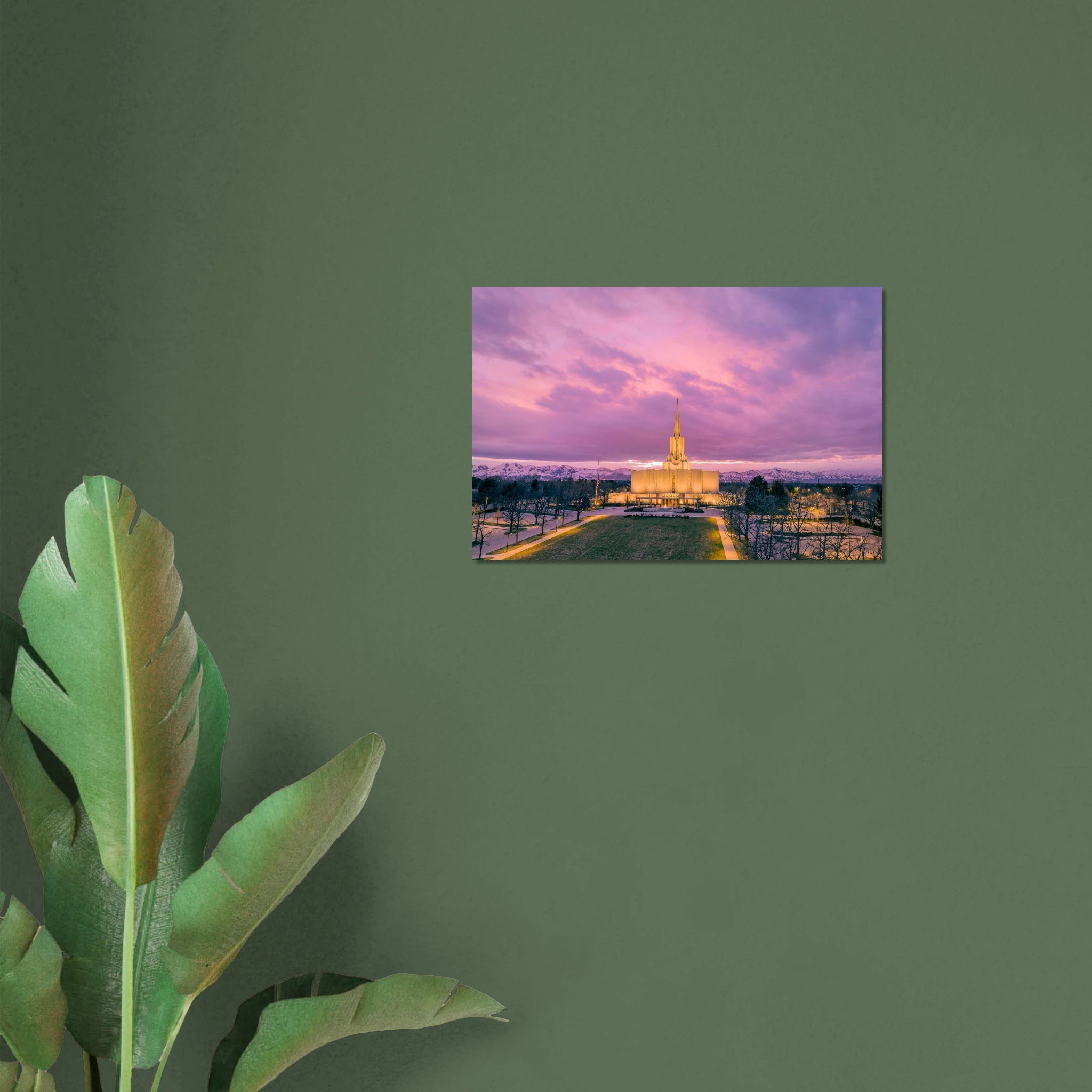 21884787-edbe-46a1-a486-c4b199a4b588