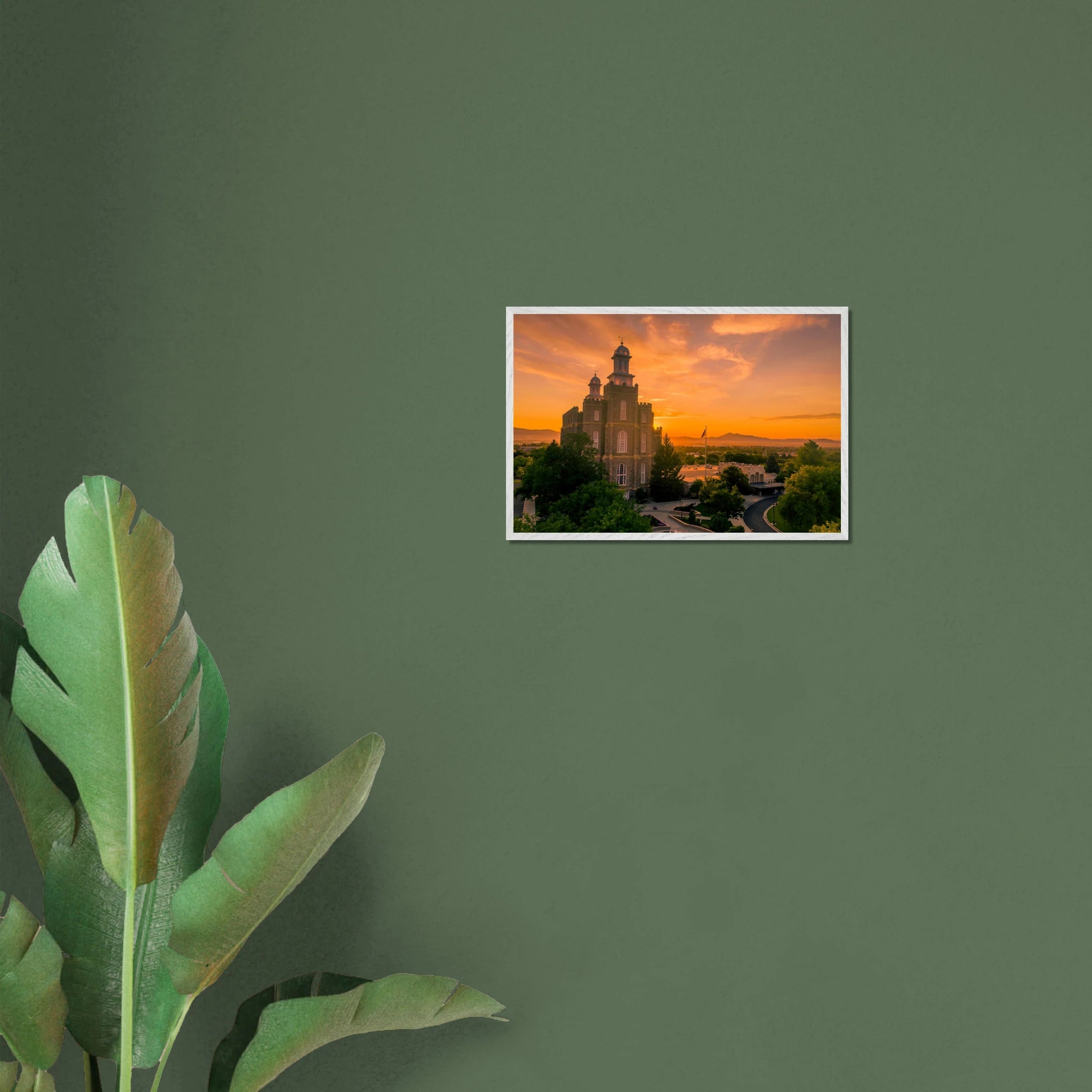 24162f8d-3365-426a-b50c-13432b70a5cc