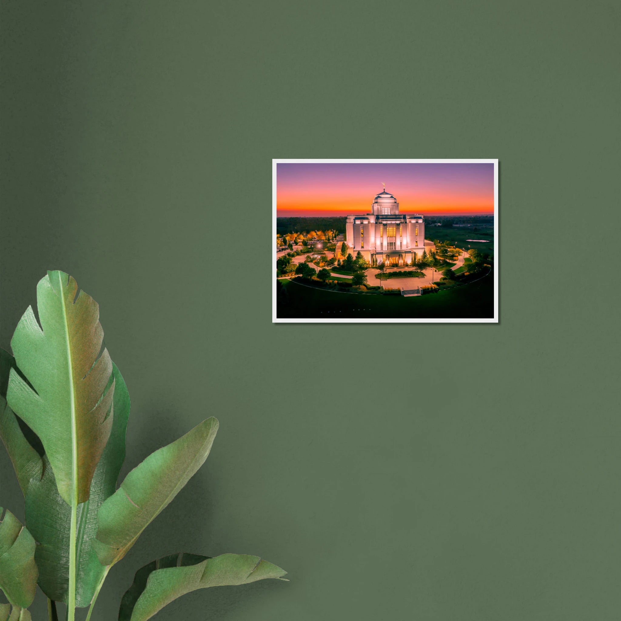 24742ae3-acb2-43f3-ba21-c2ff5803f941