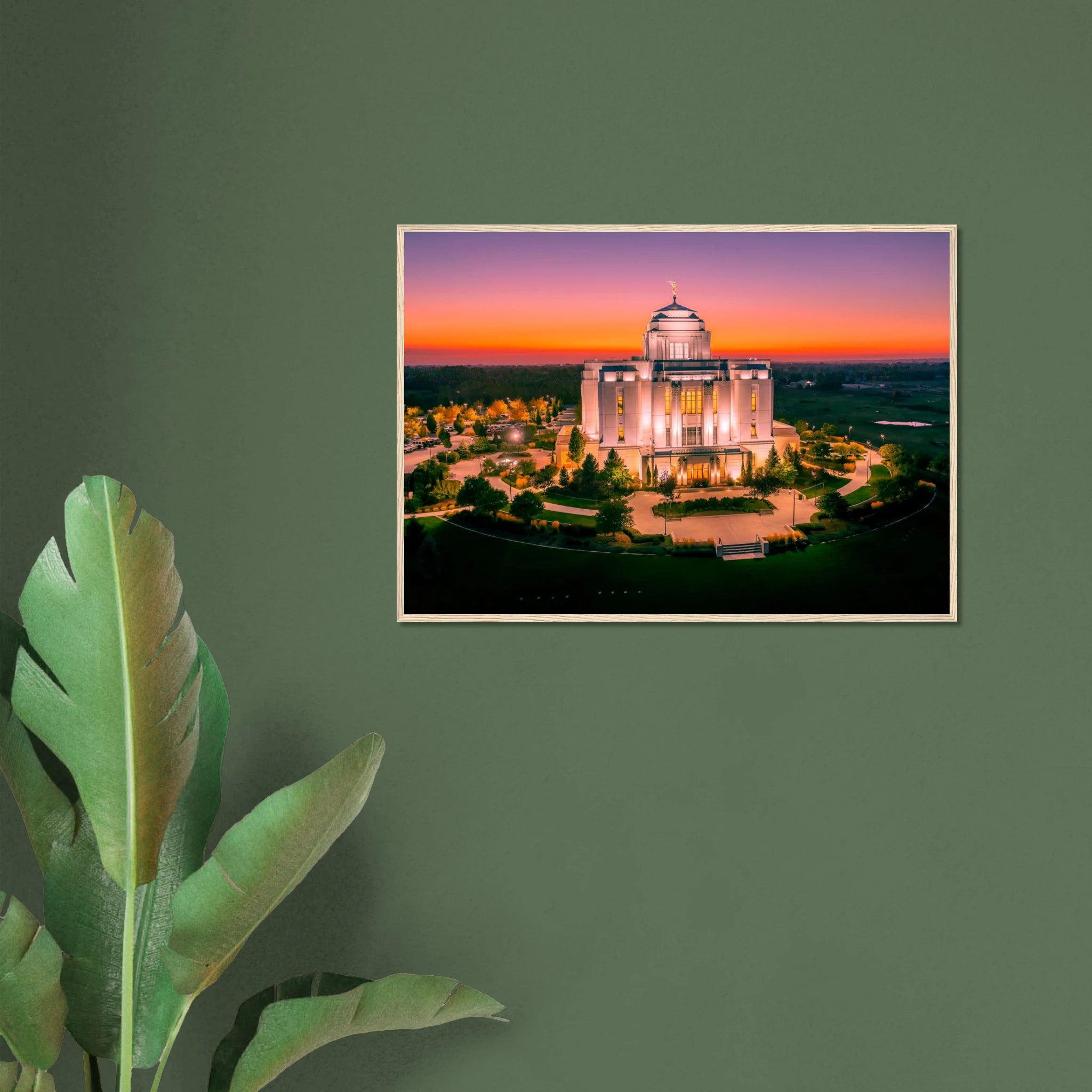 2574731f-1d38-4415-82db-9911ae555d05