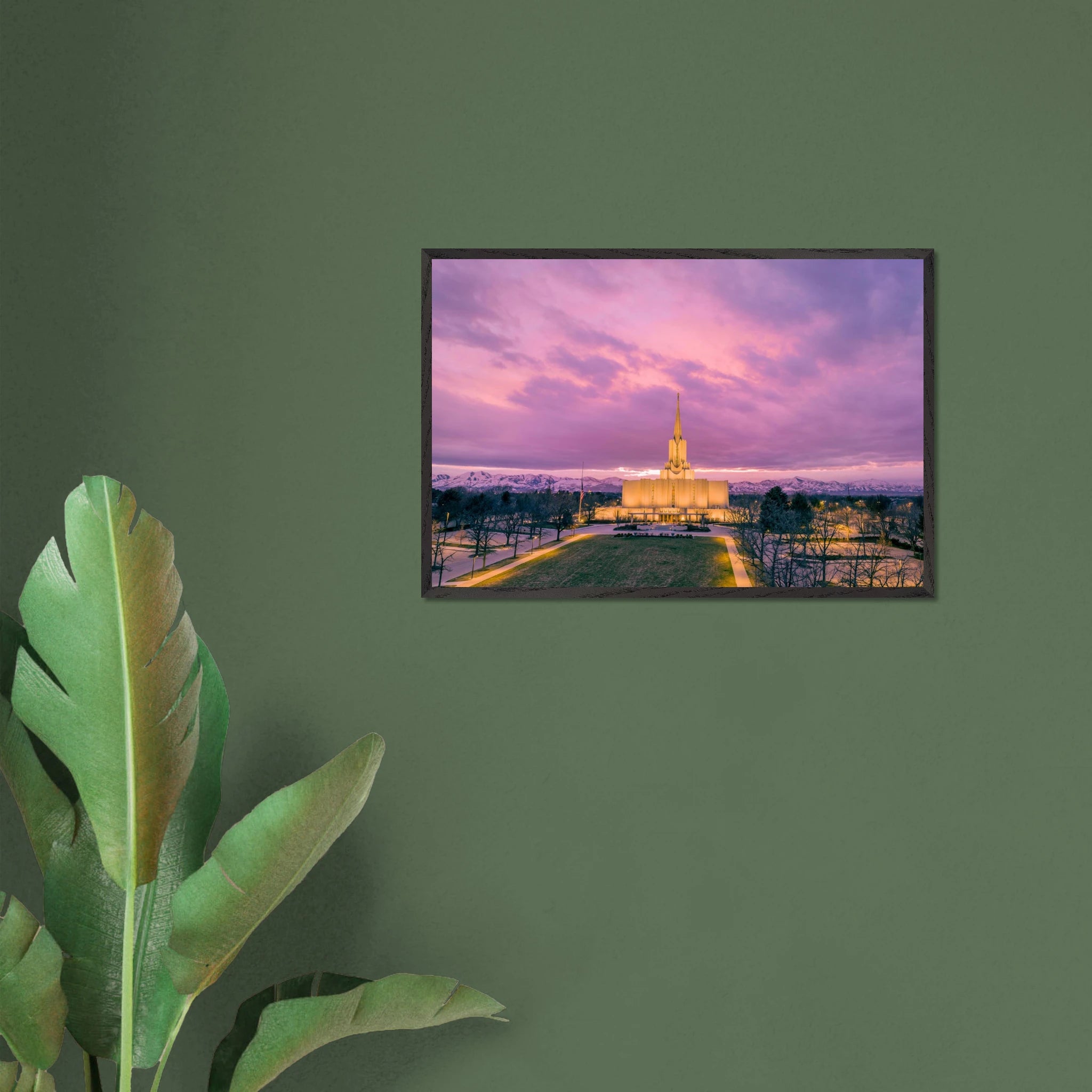 269a9491-9464-433f-b53a-54fec03a9be1