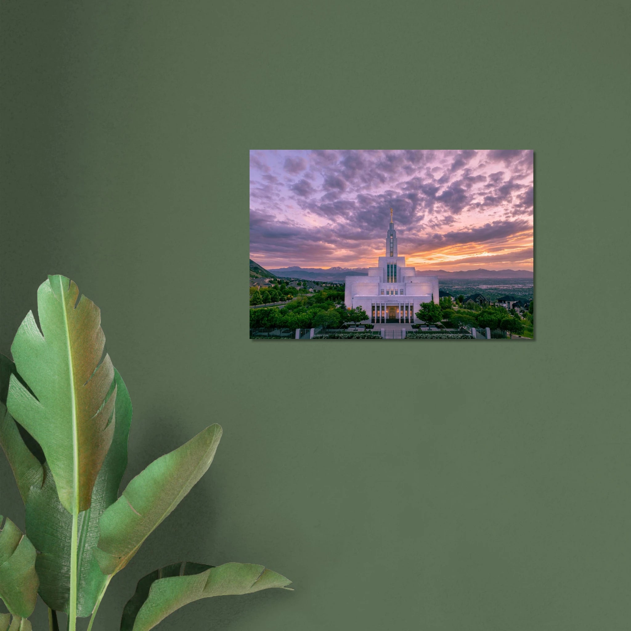 2c8d8d02-8756-4673-8dbc-1c4772a2cb77