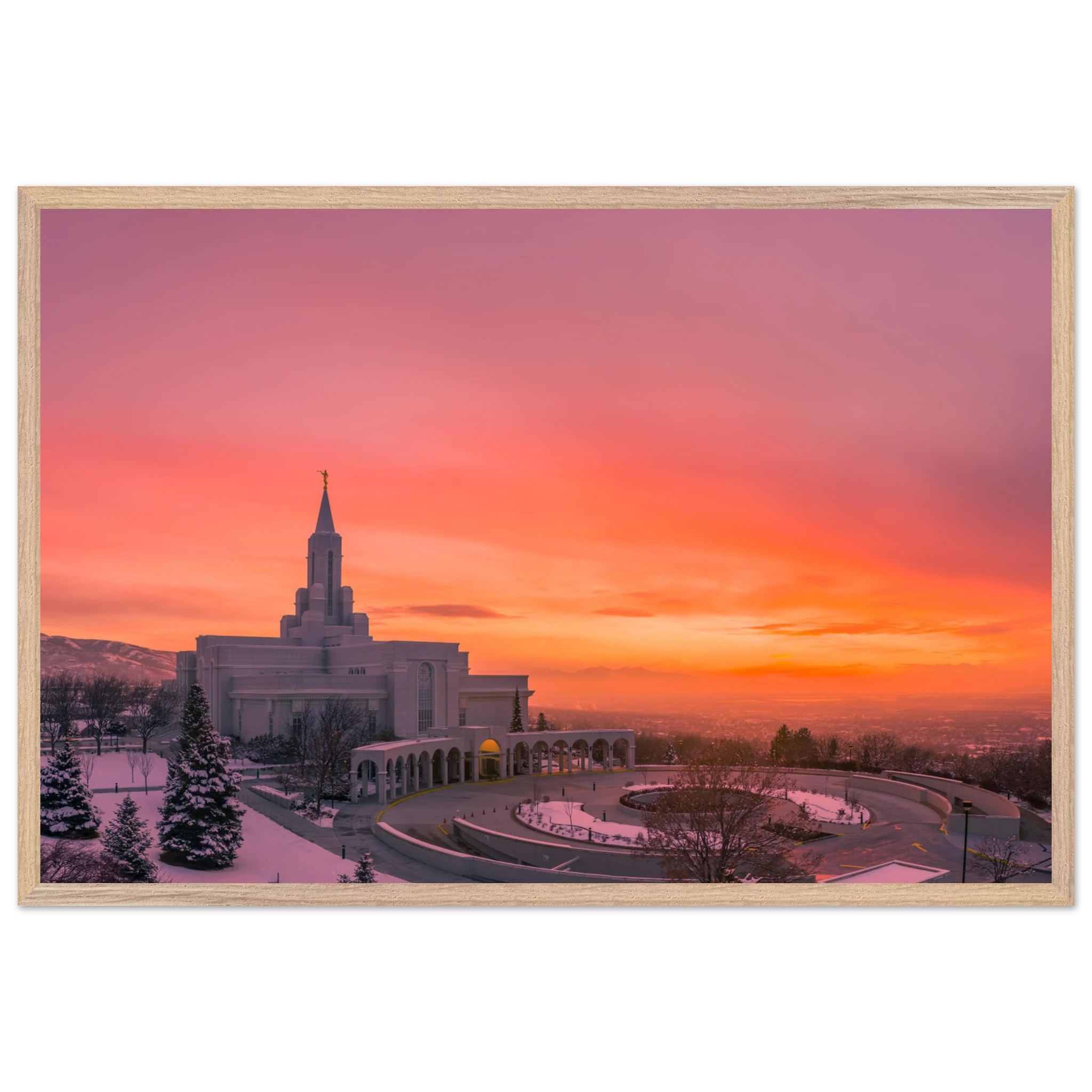 2e568317-e8bd-4866-a539-8f6cf81bd295