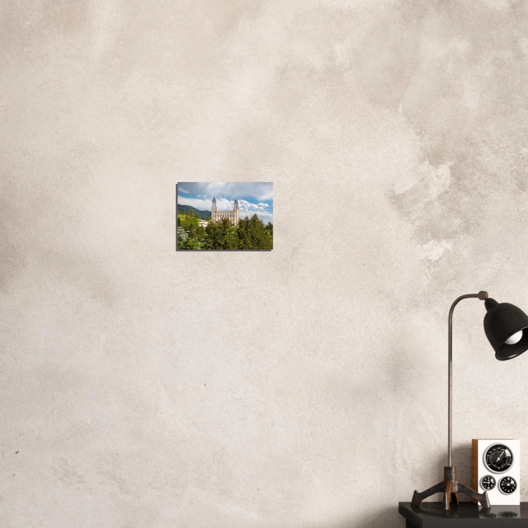 31eefa6a-11d2-471a-b6d9-afb550e0fff1