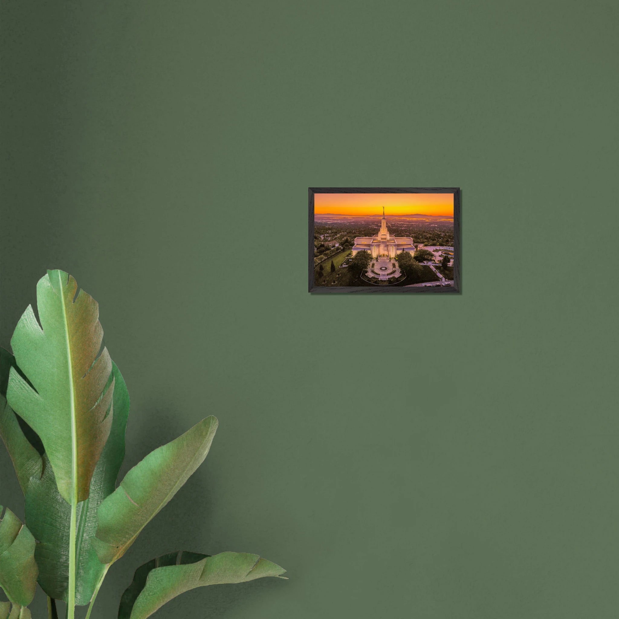 35599d63-890e-4316-8608-a746bd200f83