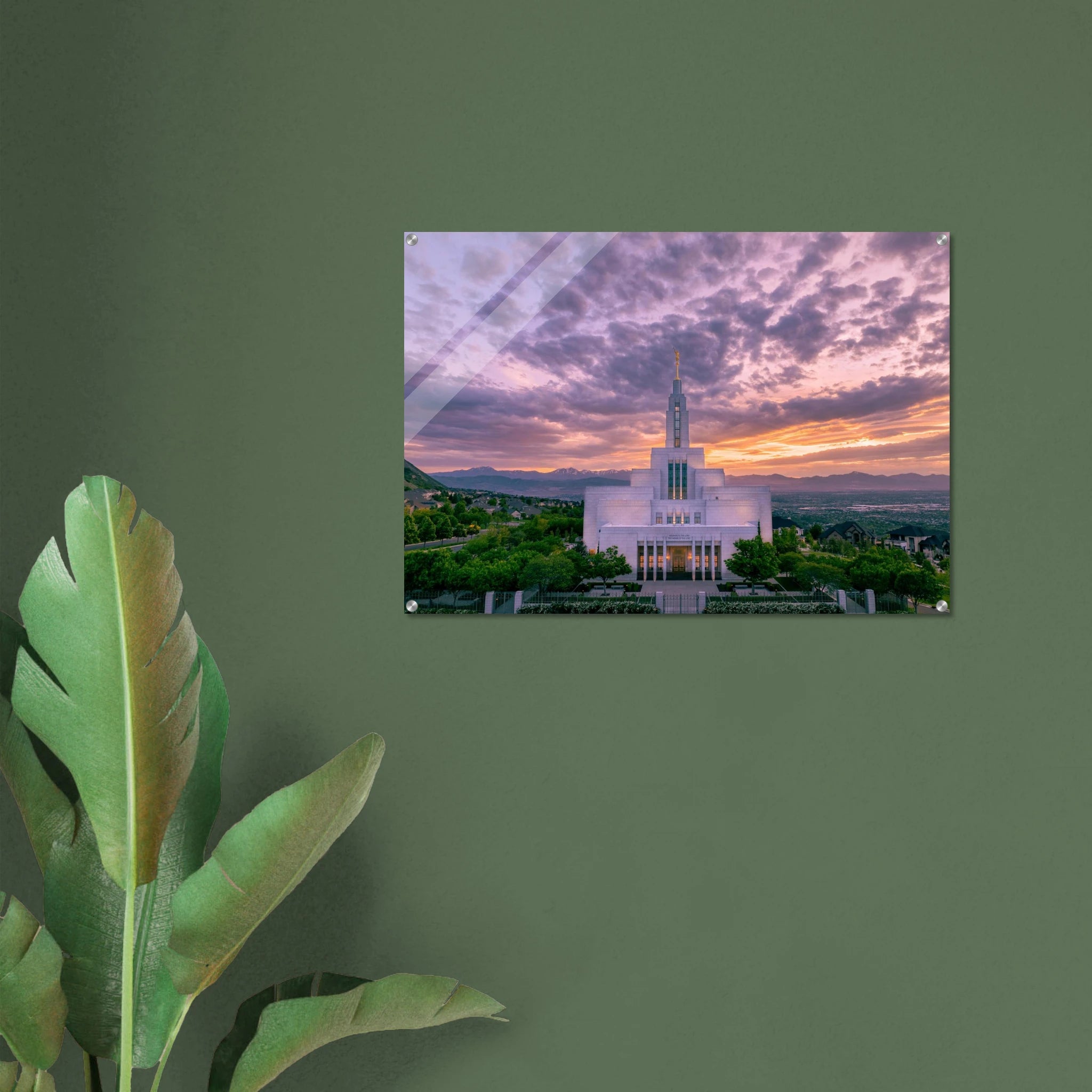 36305cb7-64fb-4563-9033-824ea492db8d