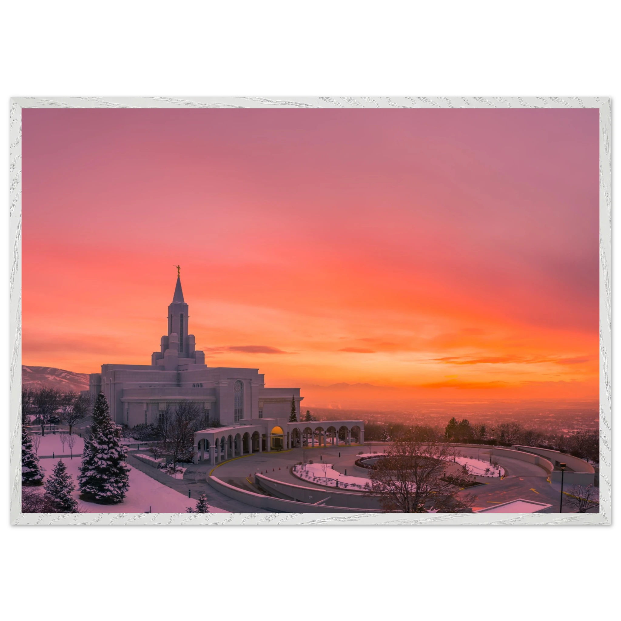 3631f713-4503-48eb-a338-adc610de29e8