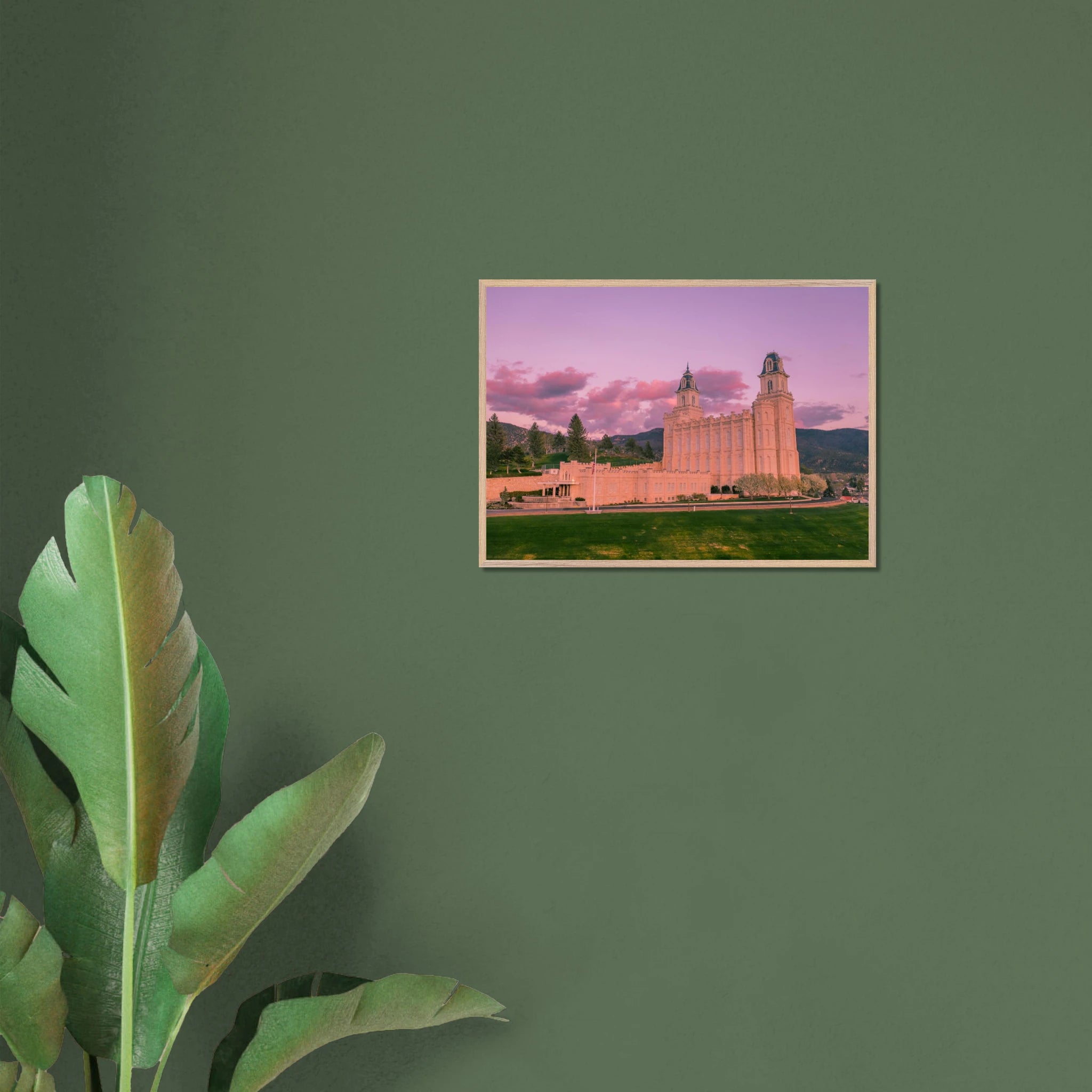 365cf8b2-e4e3-48e9-a4e5-c56acc6667fa