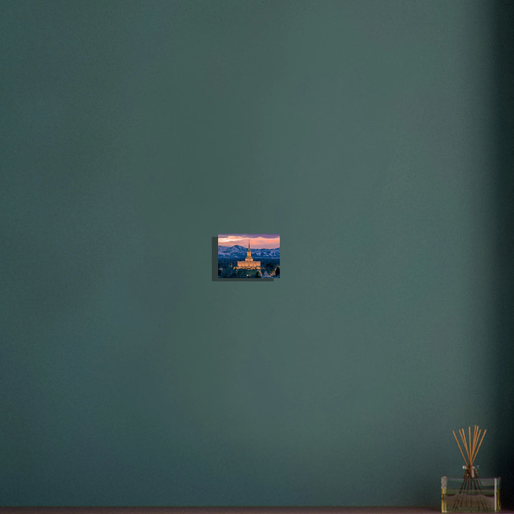 38ce4c94-45e2-480d-8ecf-2c85b2c73370