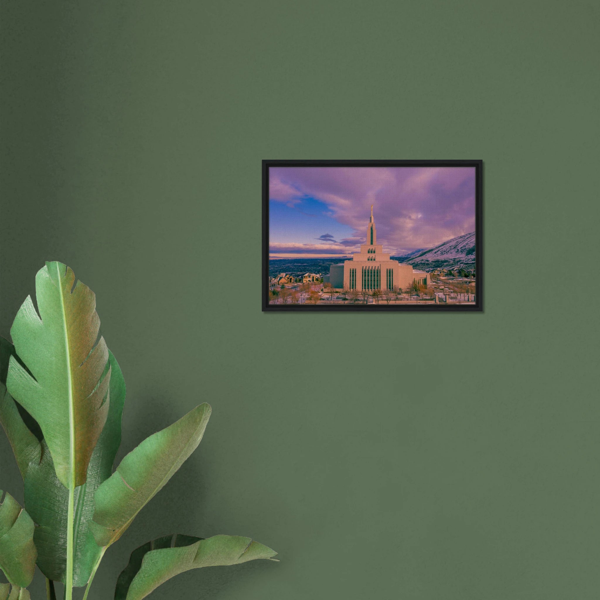 3b6357cb-5d36-4f6d-aa09-a44e95554408