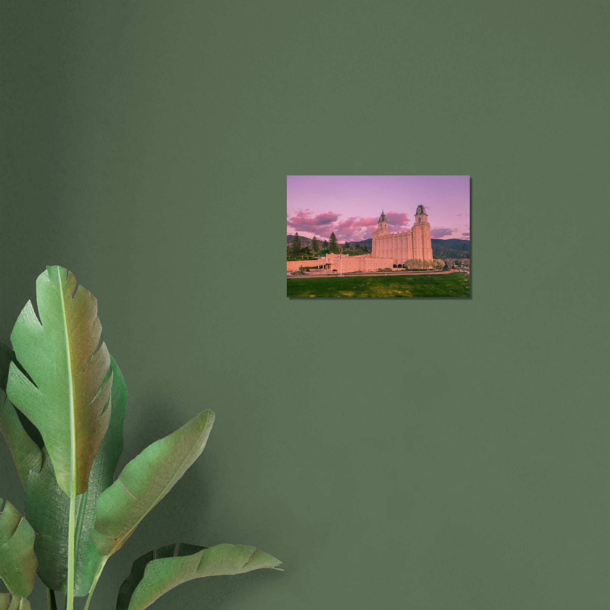 3f8d1a83-1fc7-4b4a-a1e5-66297ad50bd4