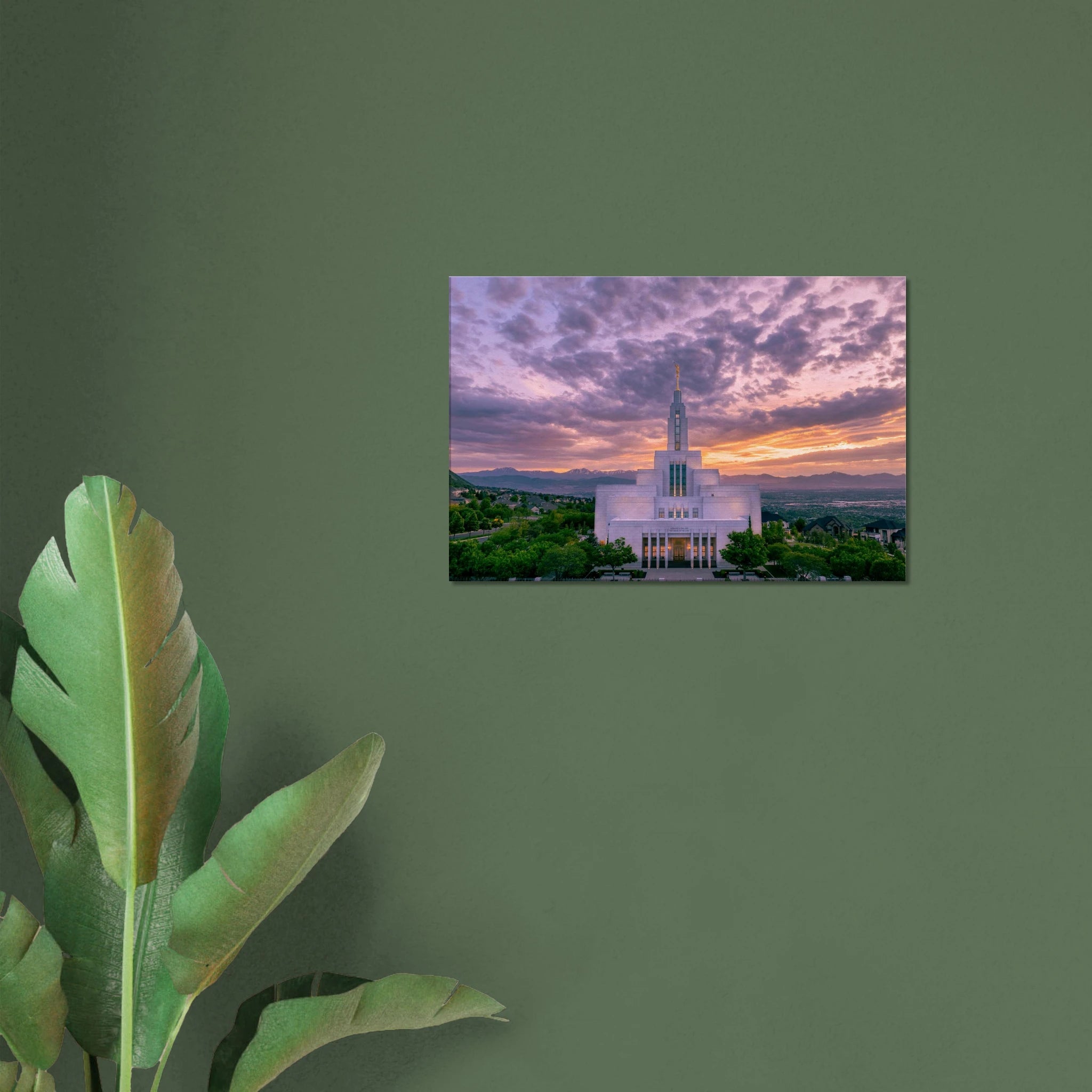 41e21ad8-2c2e-4554-ad1b-91f287835c64