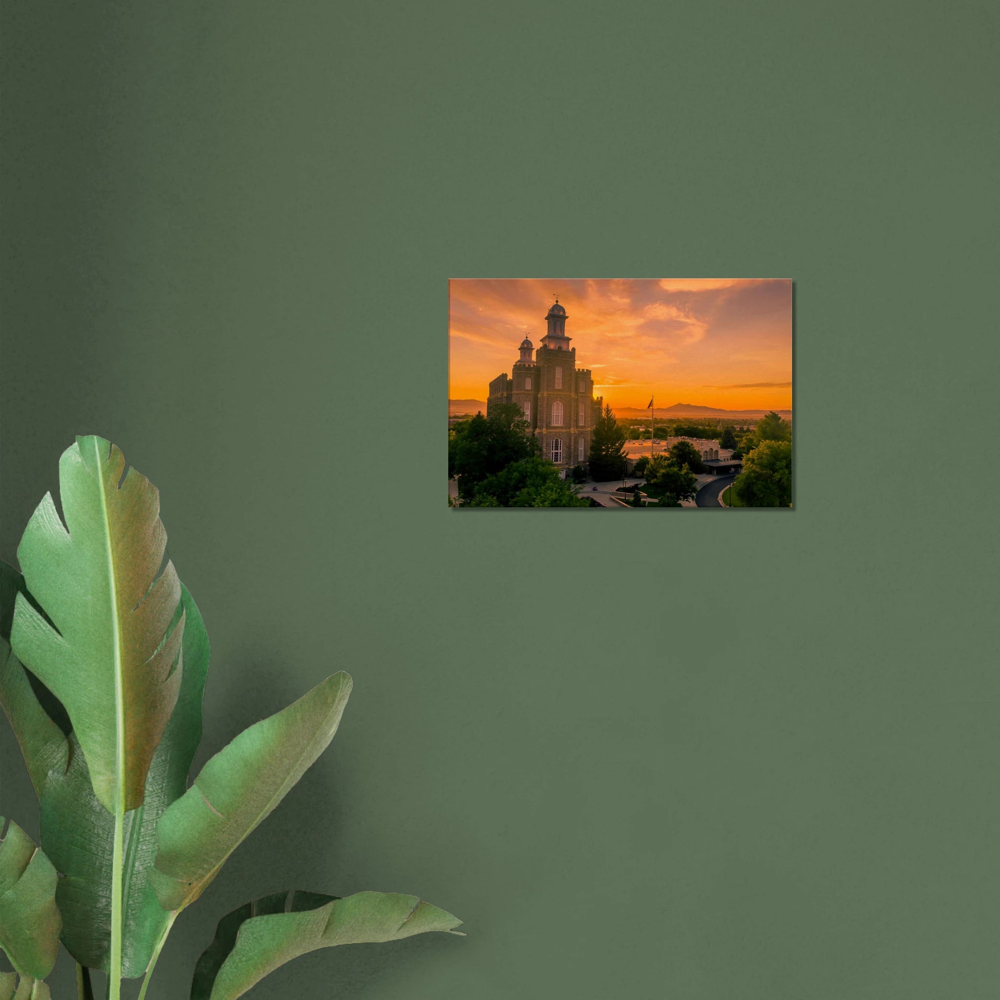 43aa2750-0e4c-4d59-848f-dc52d9250911