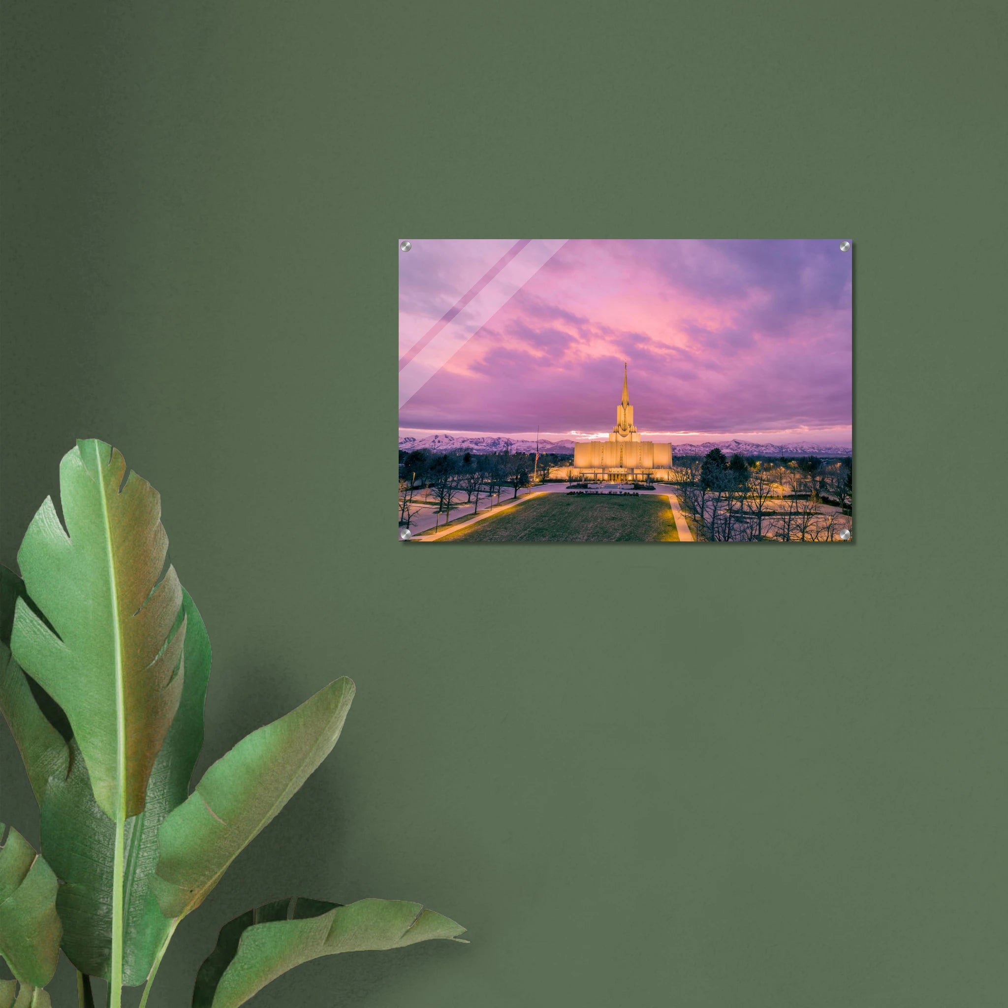 4498f2d7-4e81-4788-b4a3-26285bafcf70