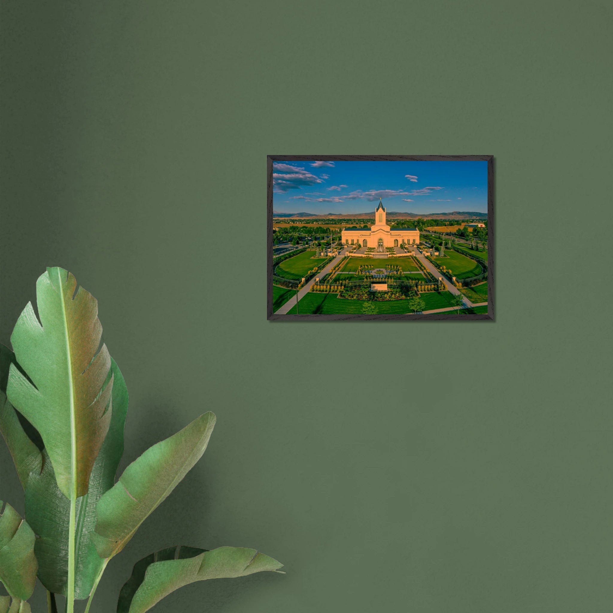 49a24c3c-084f-4e71-b44f-f71ecdc4d3fd