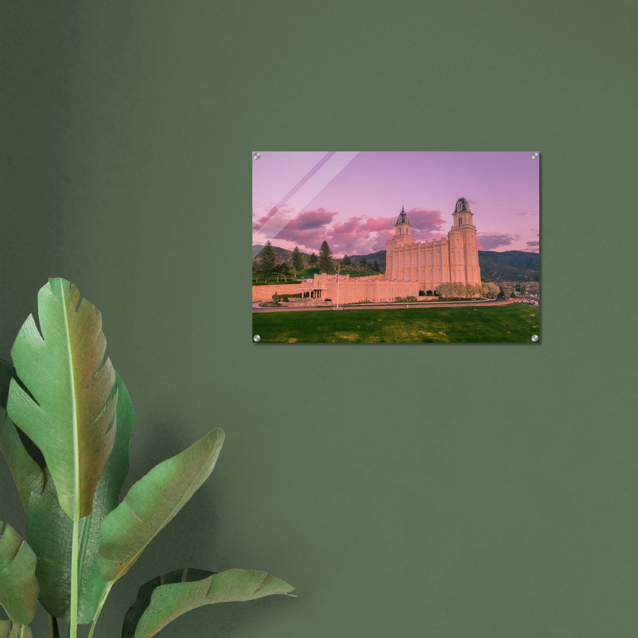 49c92e60-01fb-4dab-a54f-542eb5220207