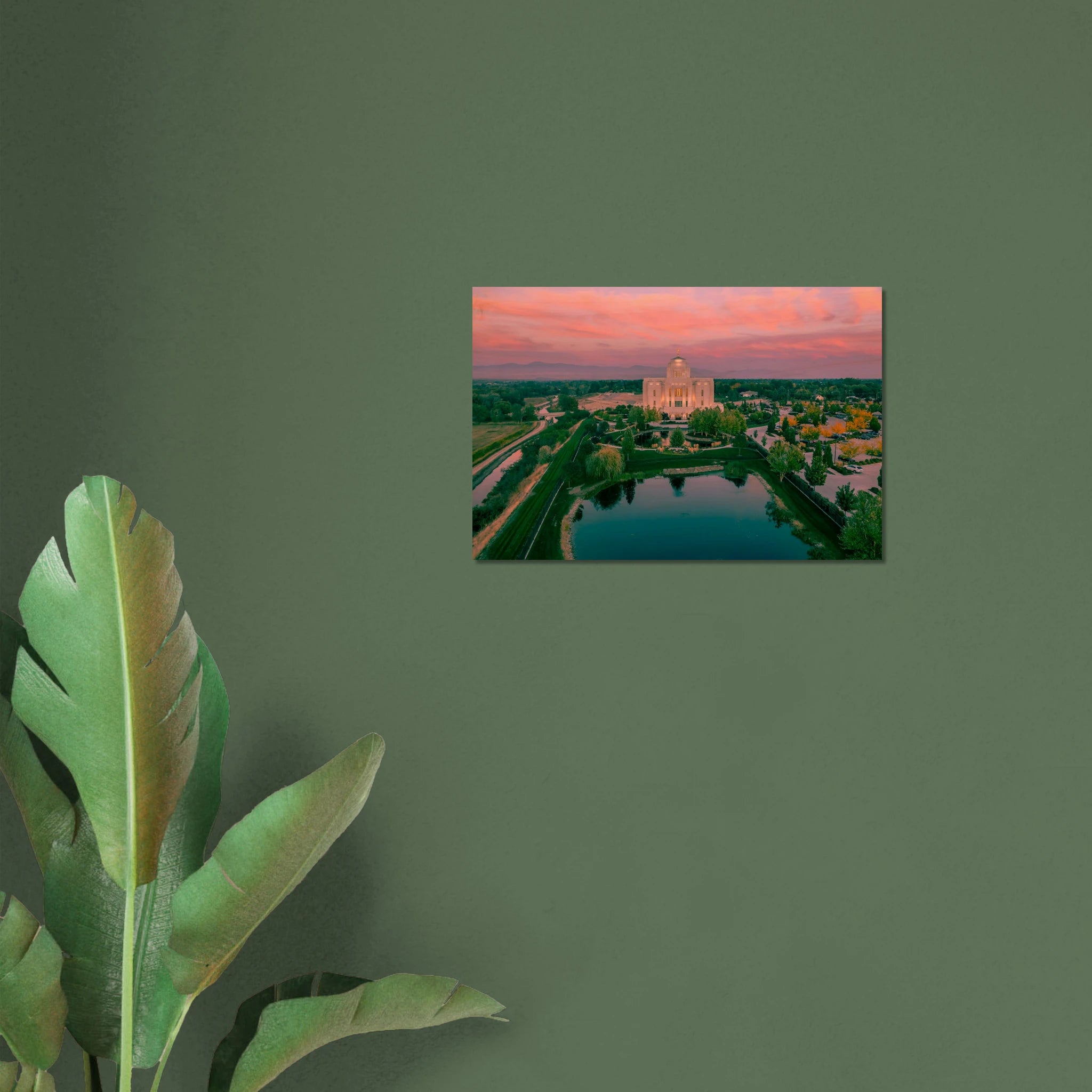 4a36542d-1471-4efc-9b11-ff0f87fed0a0