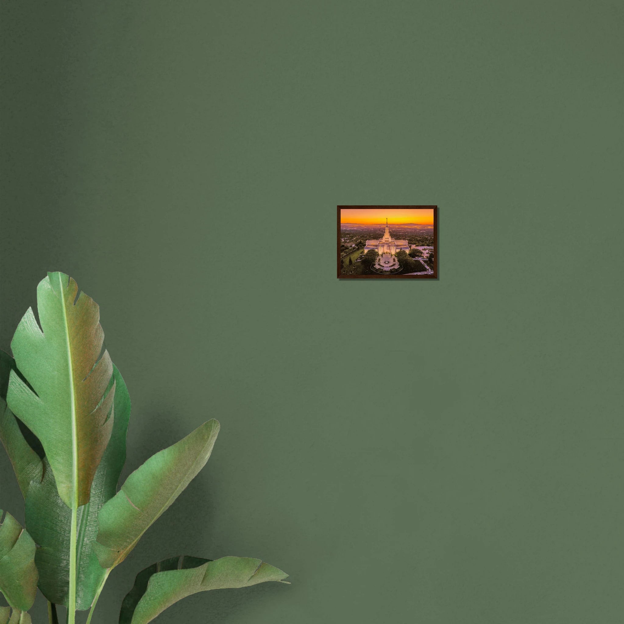 51aad47f-c5c3-4081-a417-f8cc49d10653