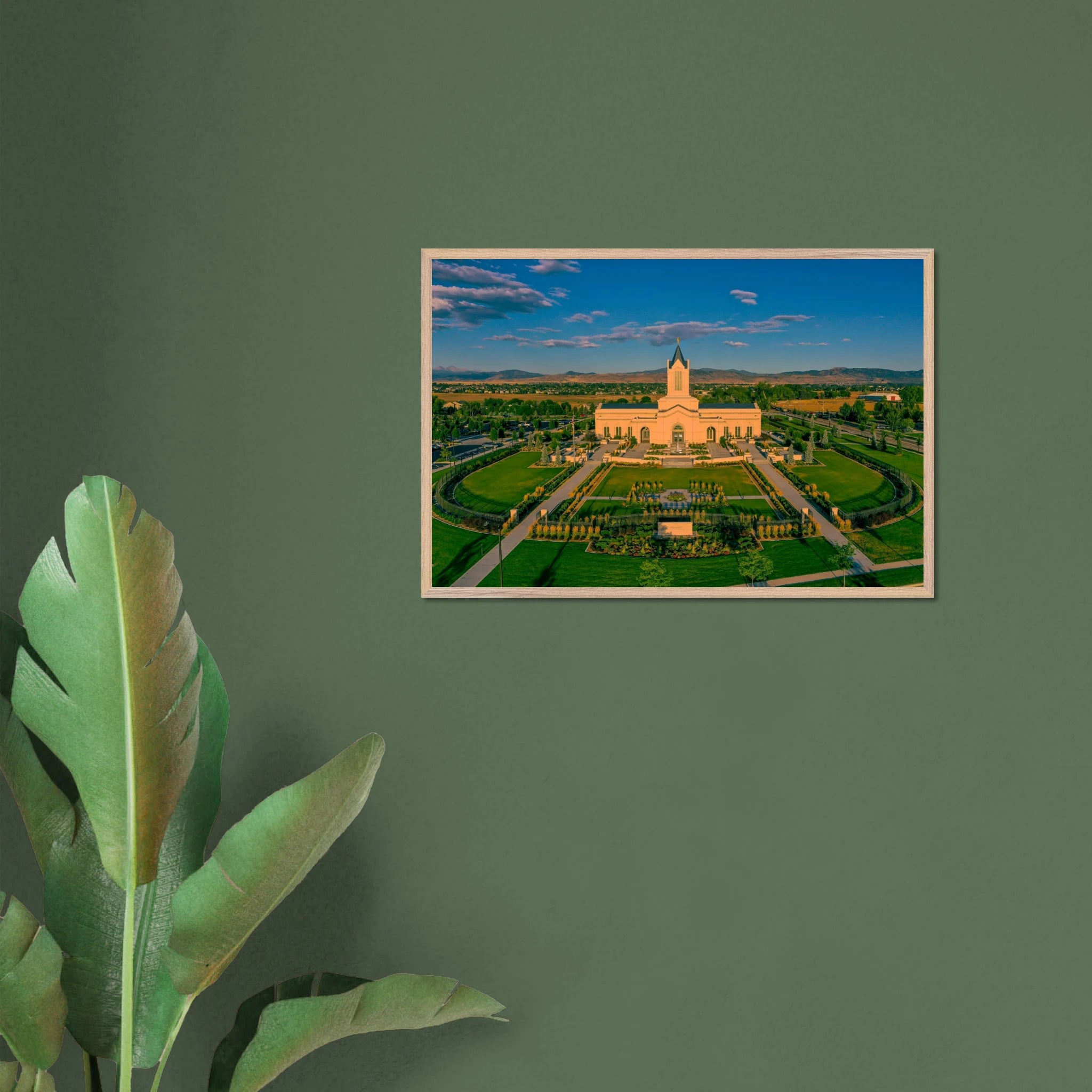 52890383-6019-4080-b445-a57122019ada