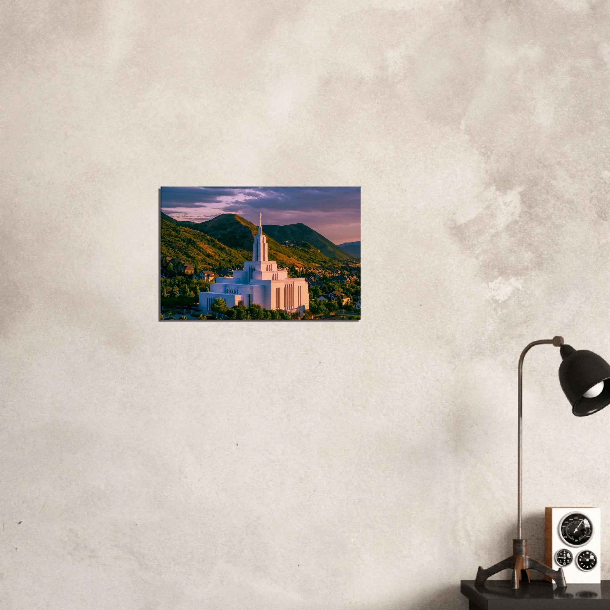 539534b2-4e91-4936-b5e6-98c656485244