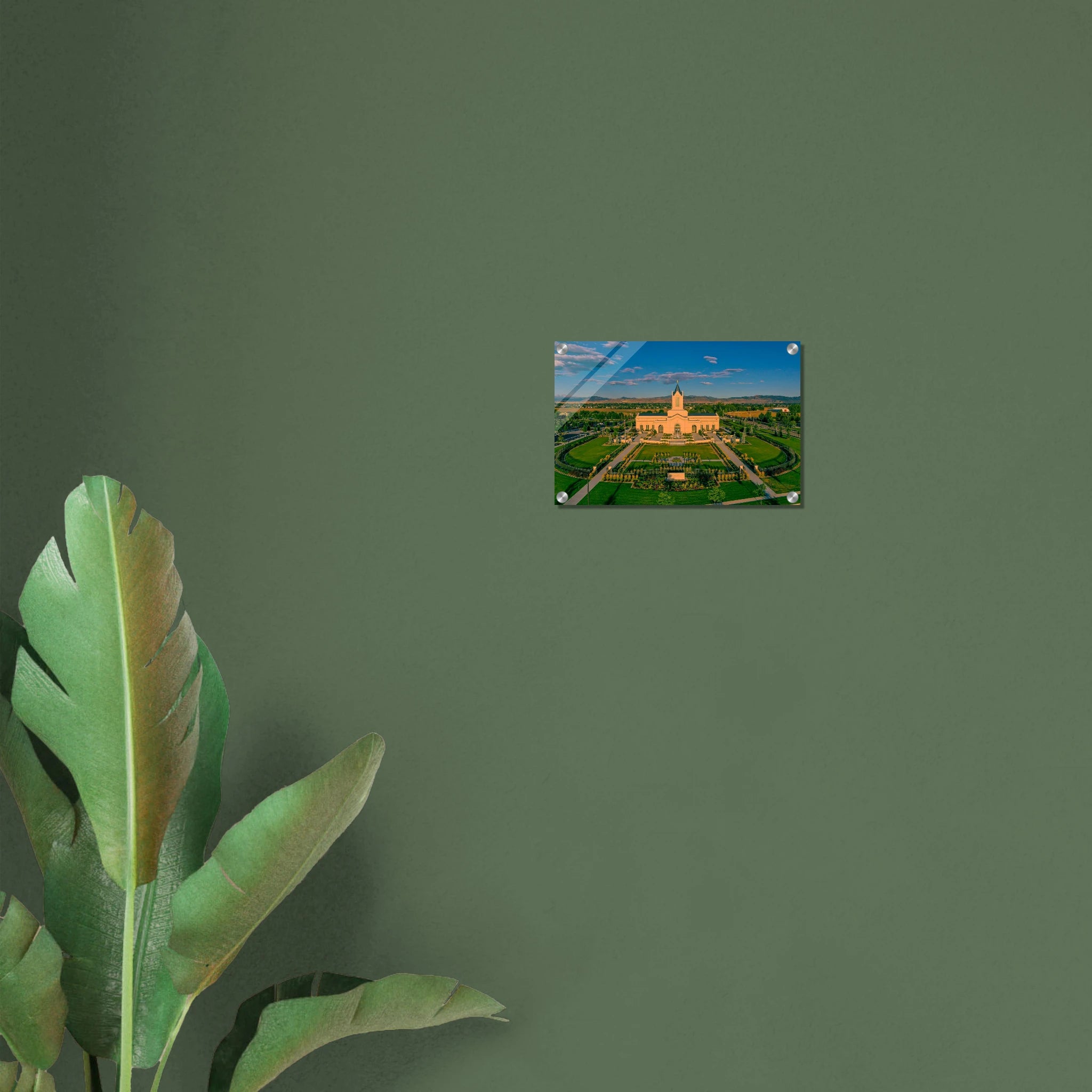 56bd75de-b813-4f2b-ae0e-964c8ede3137