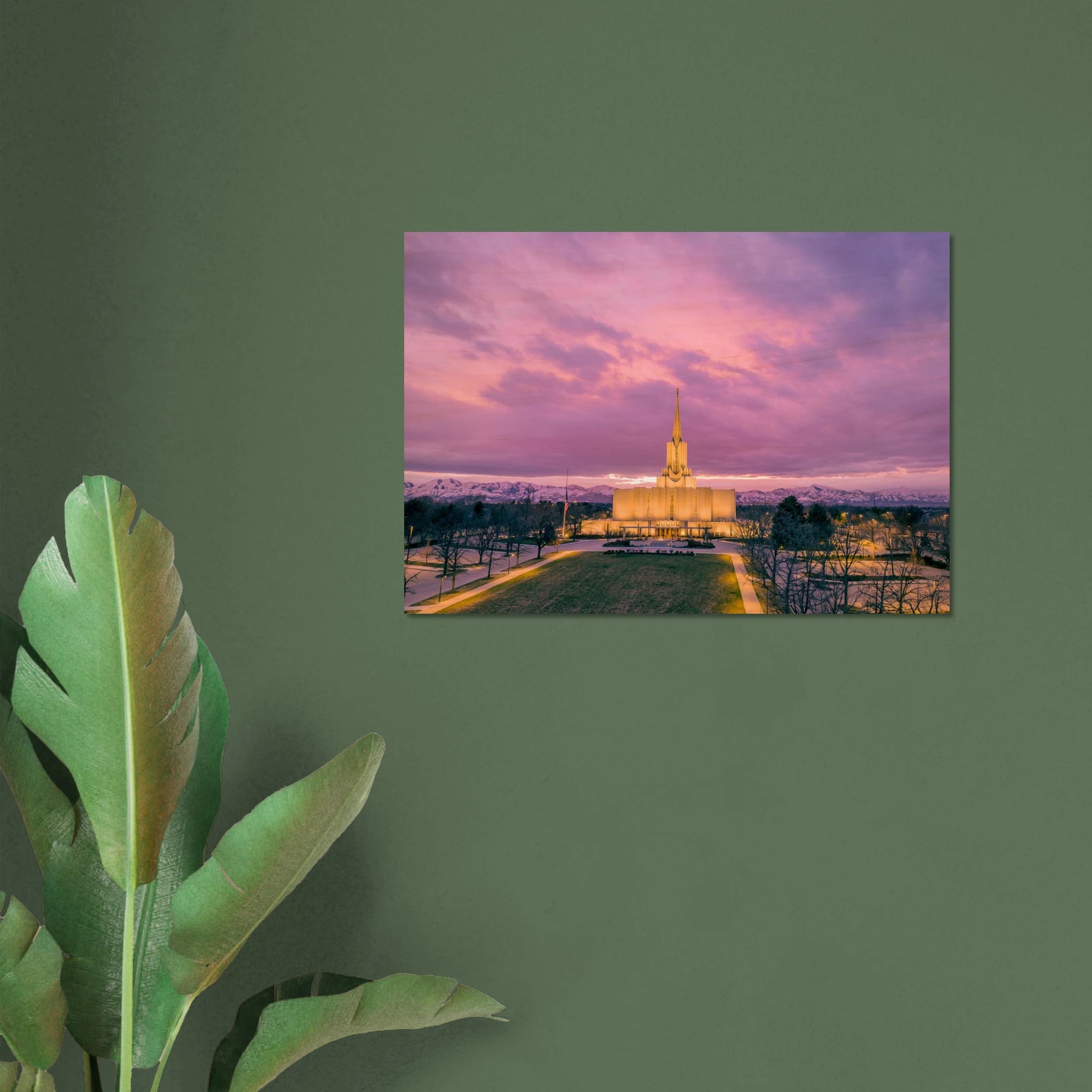 58afe78a-e106-4116-87ab-e8c226d4a544