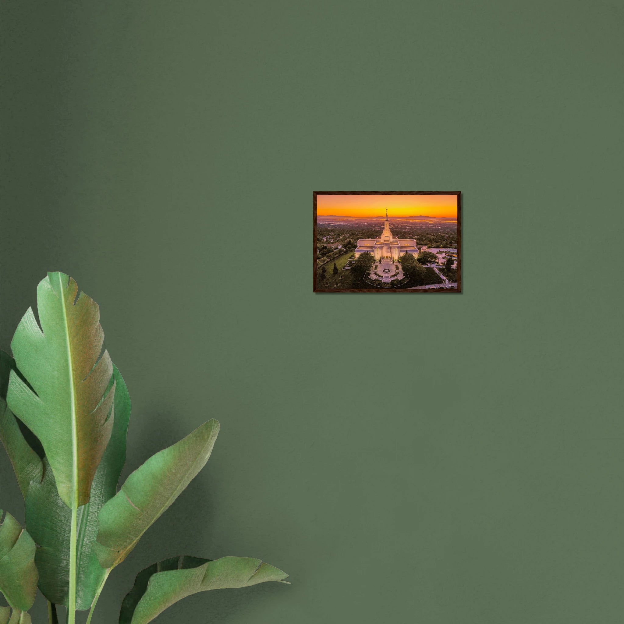 5dc8142c-20bc-49d5-9f34-a9fcd0973466