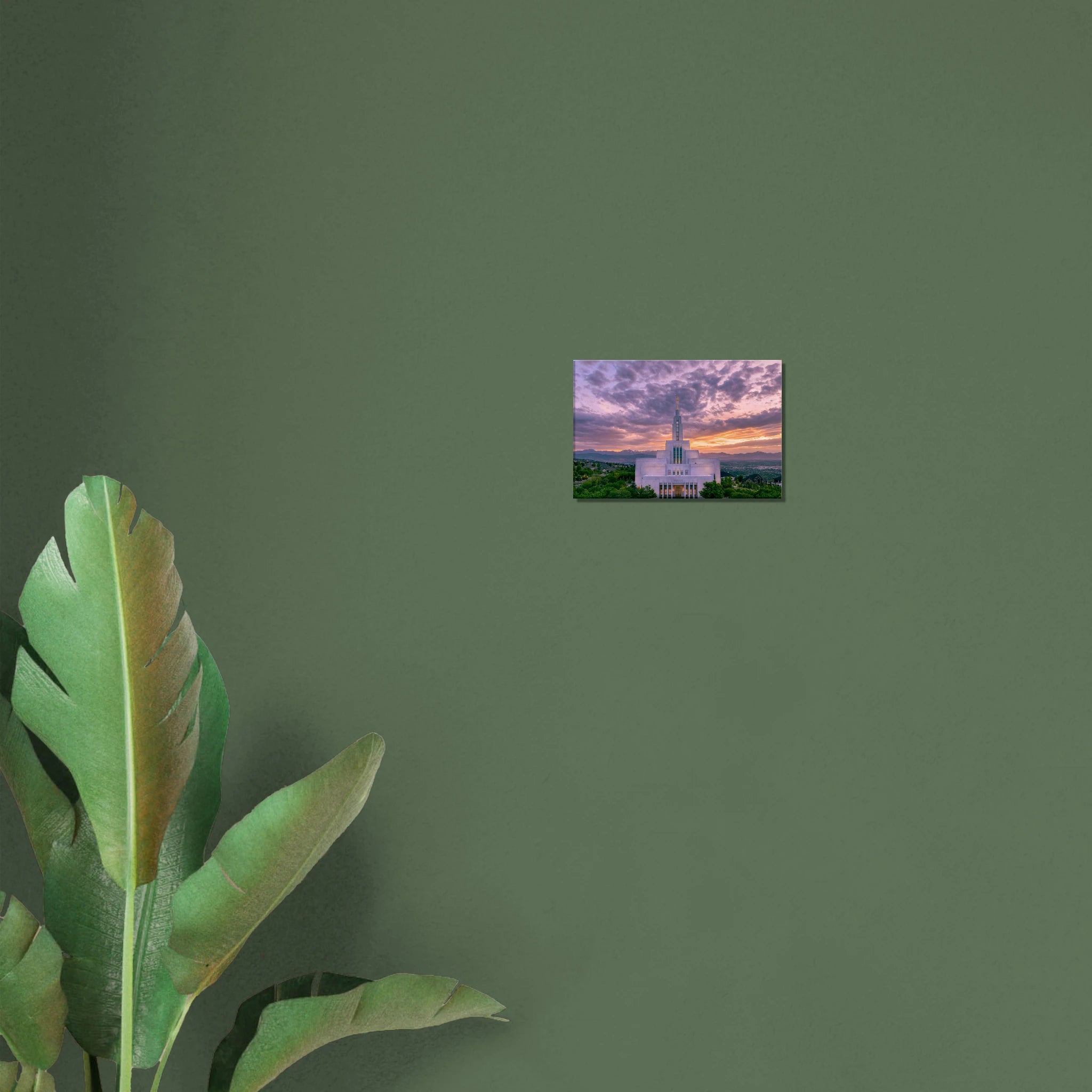 60e8421f-9556-4dbd-80a7-e3ab07c7c276