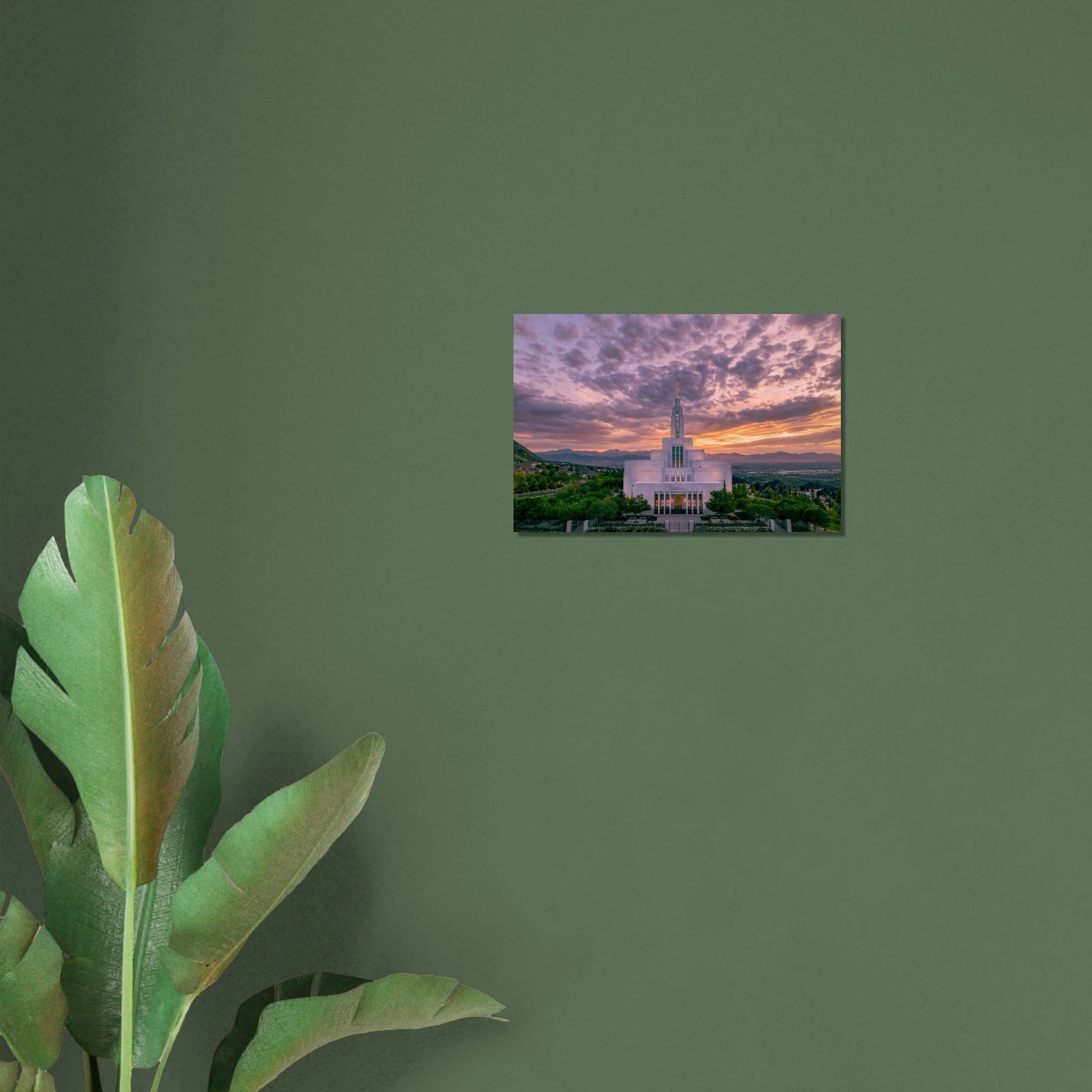 62c26a5e-79ab-4d95-85d5-f20bbf985f4c