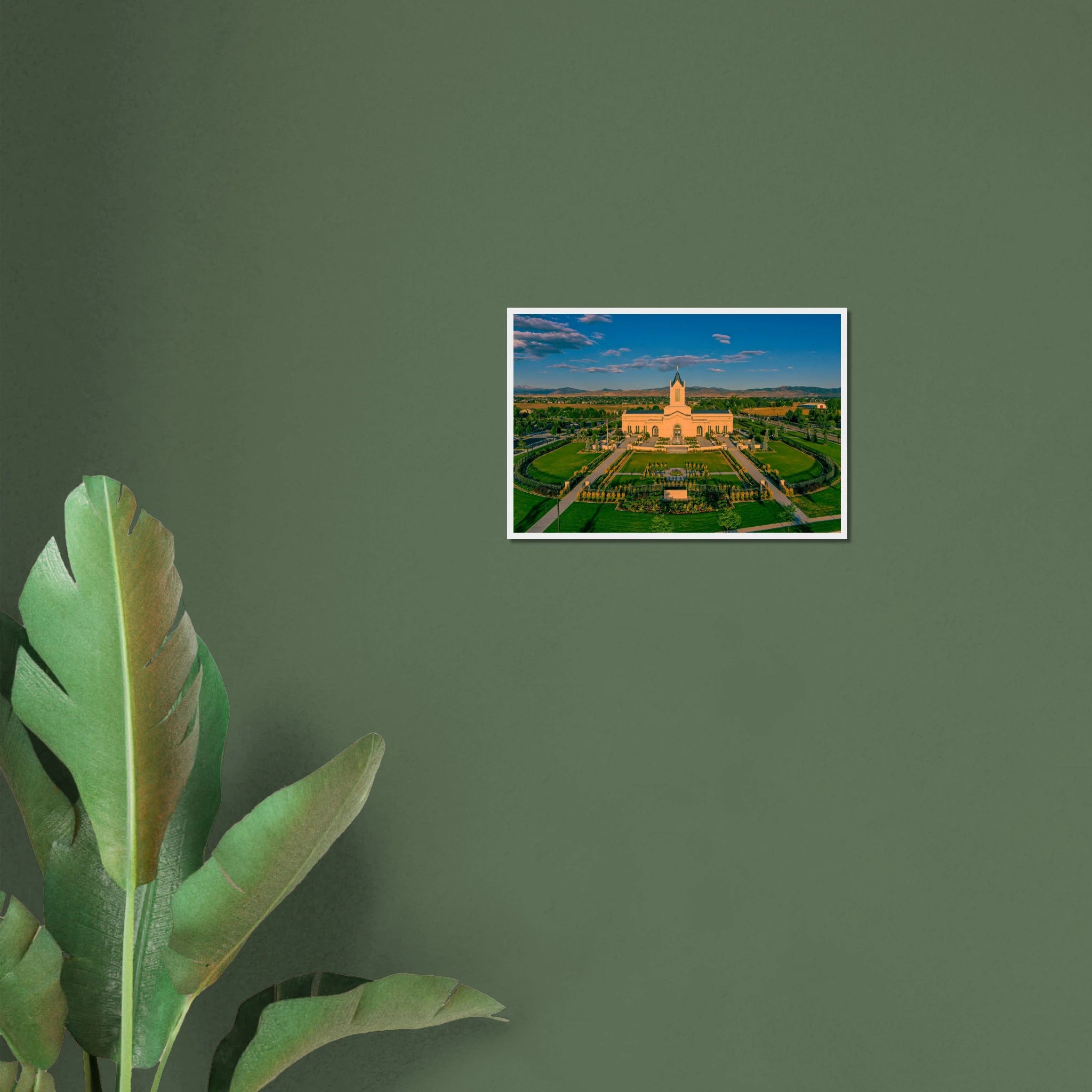 656e19c9-4c97-429e-91dc-fd4ae49cfe59