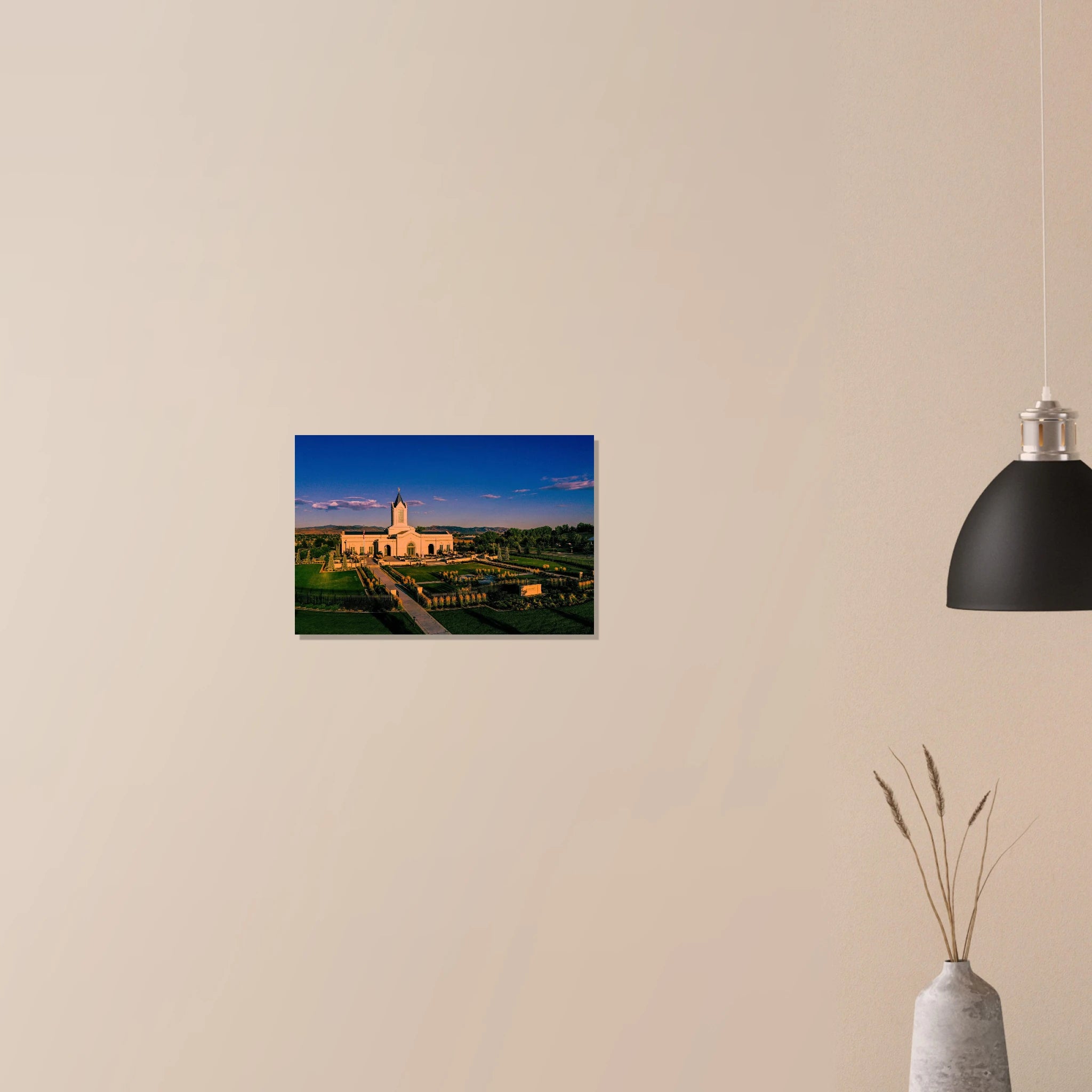 69f77b05-6766-4f3a-b92a-81a7837d86d6