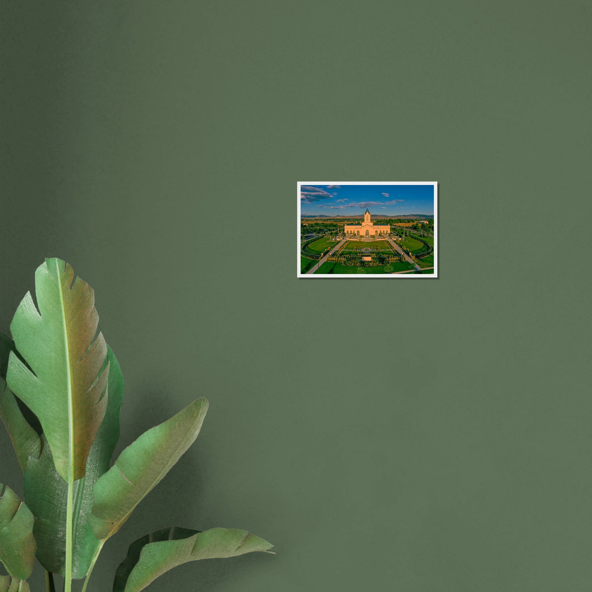 6a613fd6-edb9-440d-a0ed-fec176ff9b6b