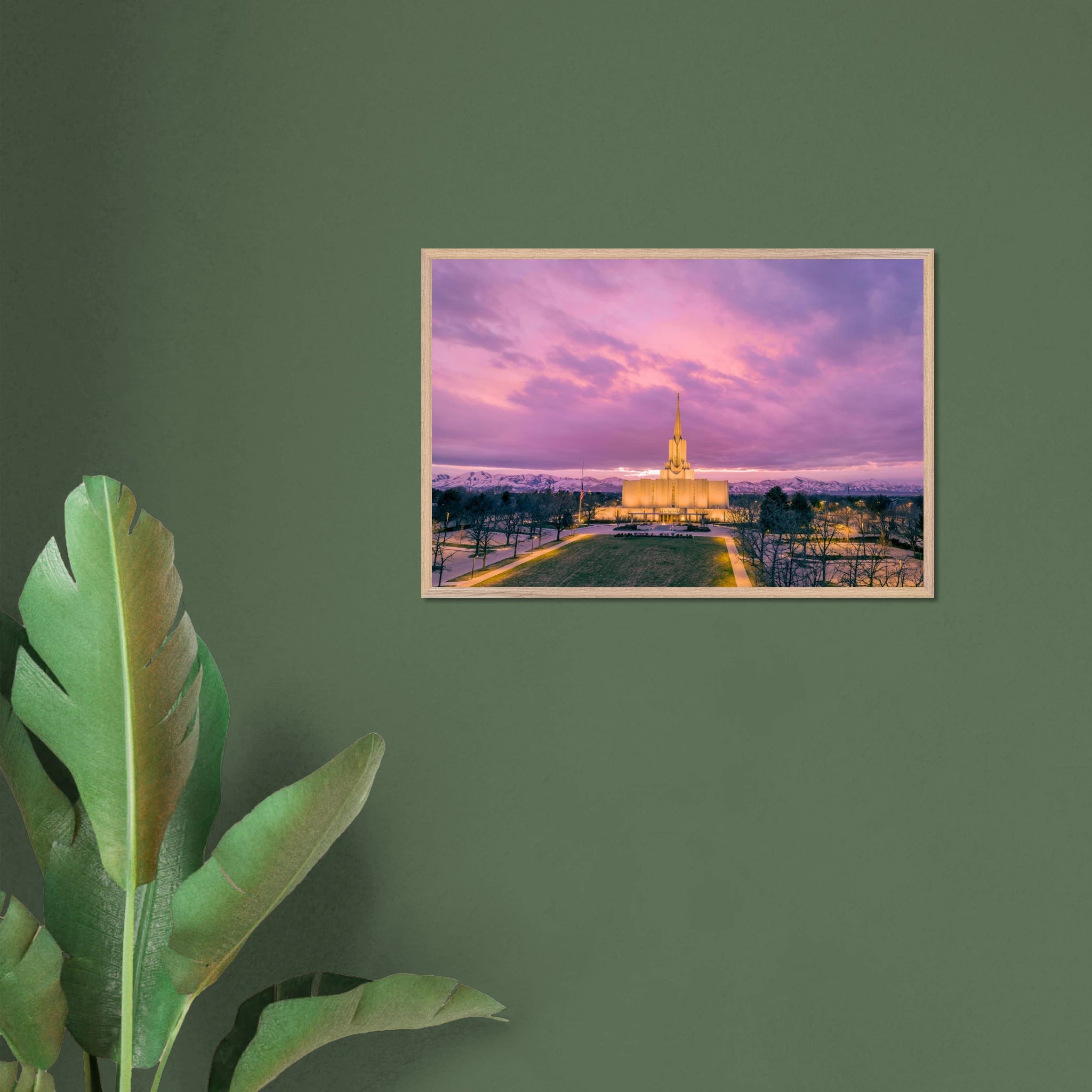 6aafdd54-e09a-4e81-8c3d-c0f8ee9c49ec