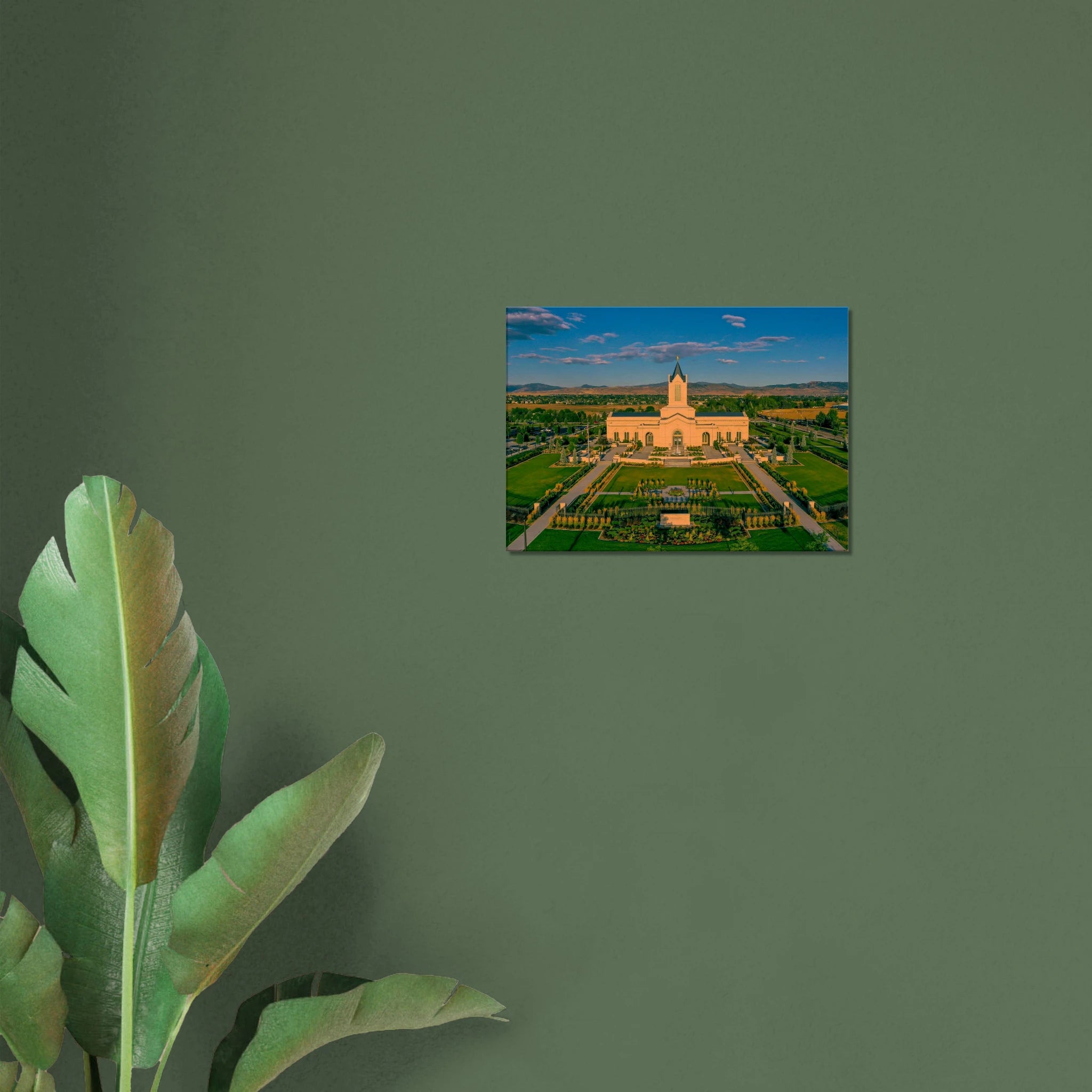 6b561e38-23ee-4453-a363-858d38df4f3a