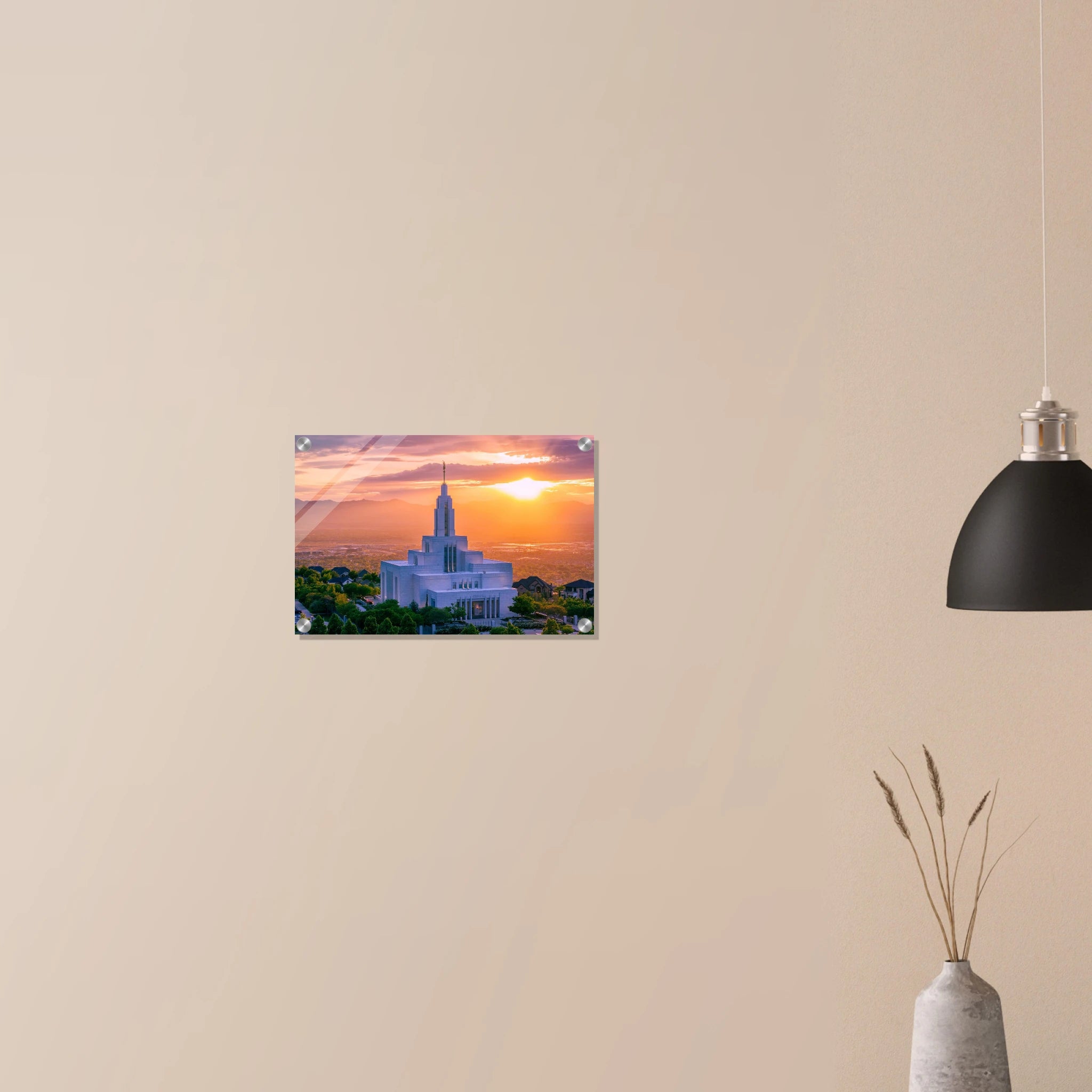 6b6b19b3-5fb1-4531-8d8f-a5faecd0f436