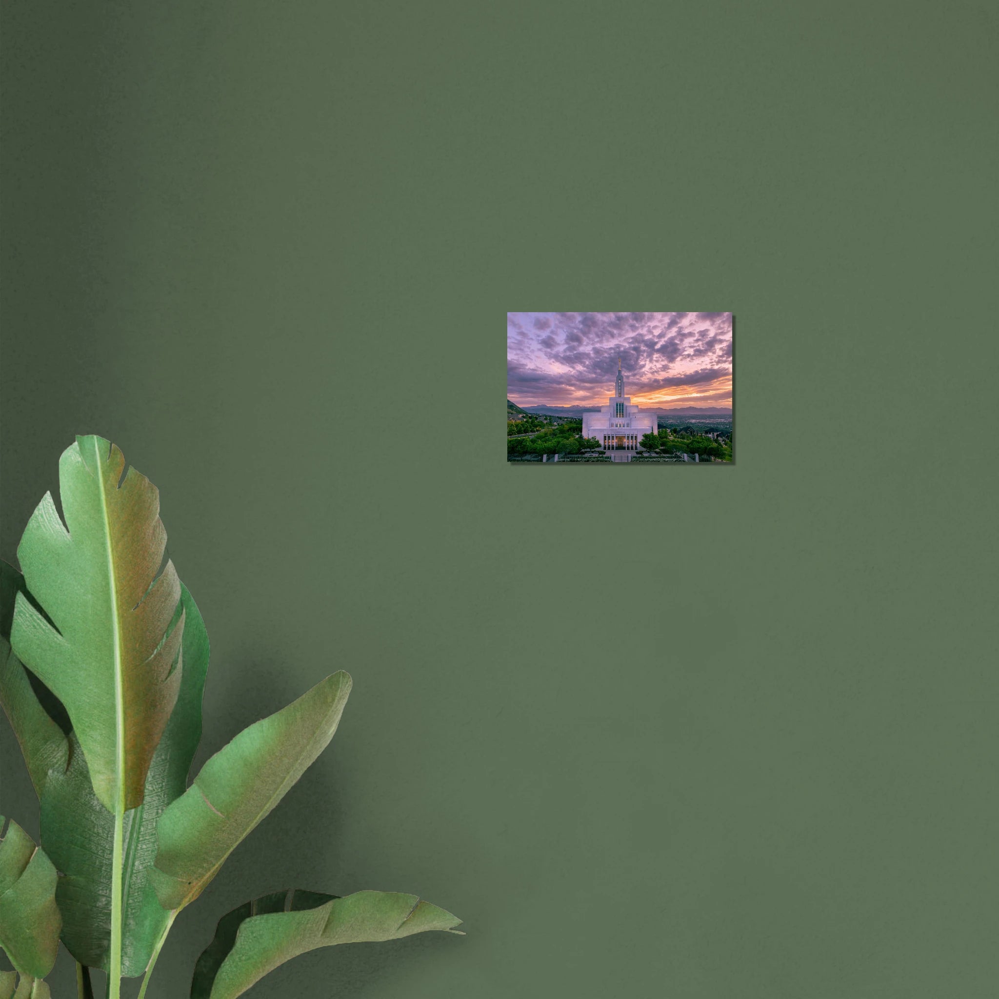 6c0e3471-c87d-488c-8476-4dbc973d614e