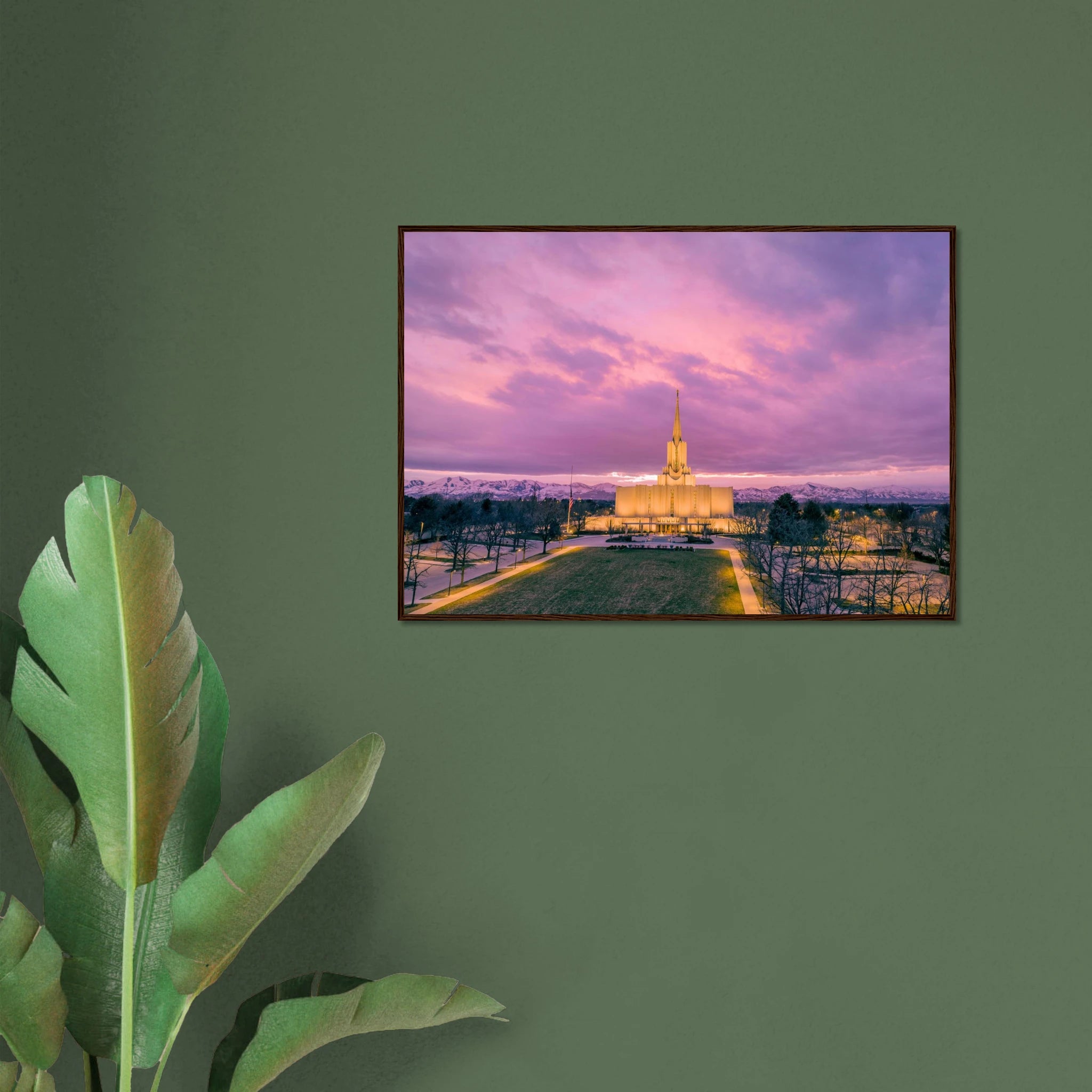 6ce4bca1-6a19-44c7-b777-06b6d448e604