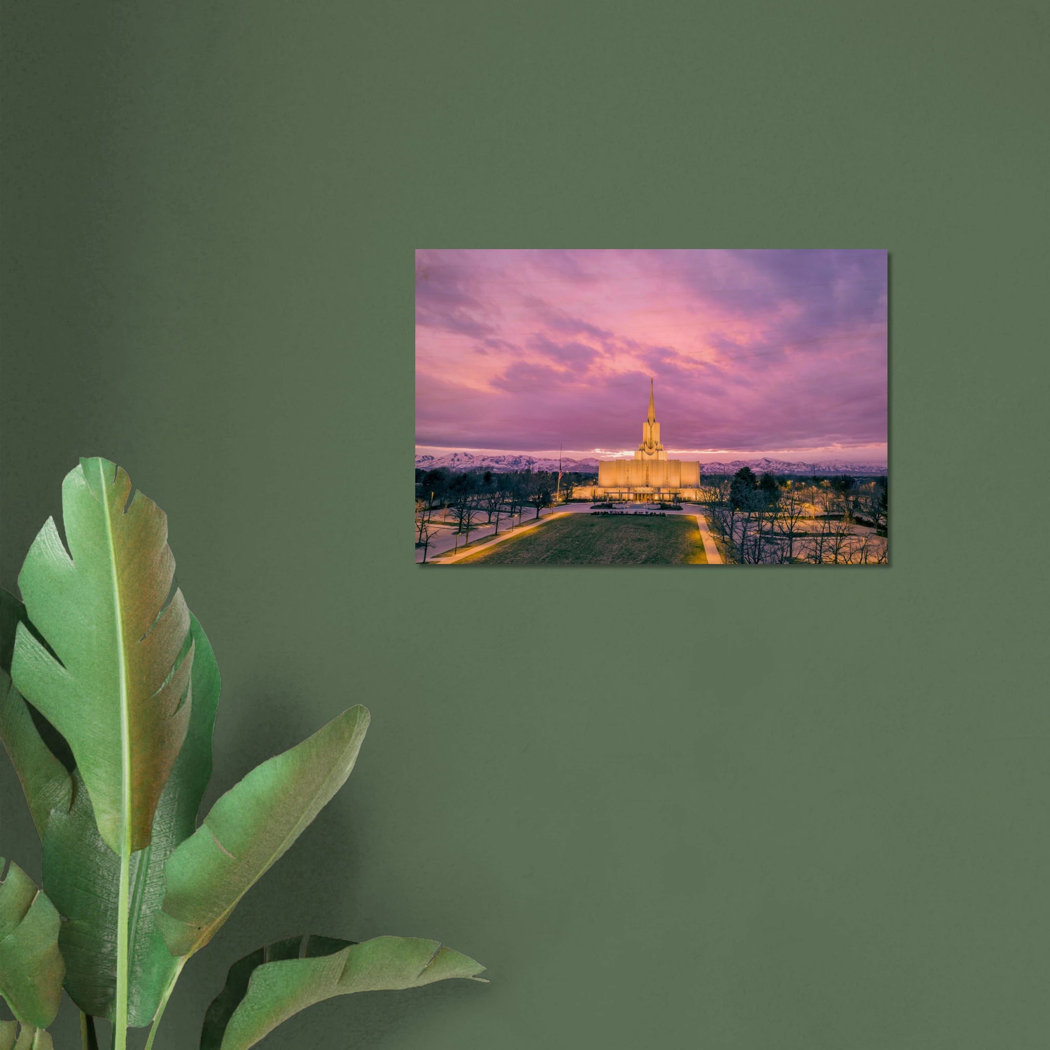 6ea20819-1bf4-40ba-8a52-4f3049de99c3