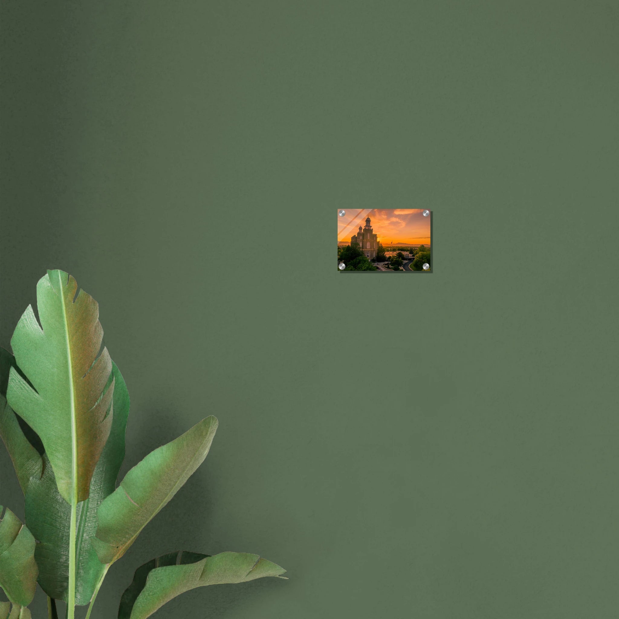 6f3a4616-d53a-4b66-866e-099314a07339